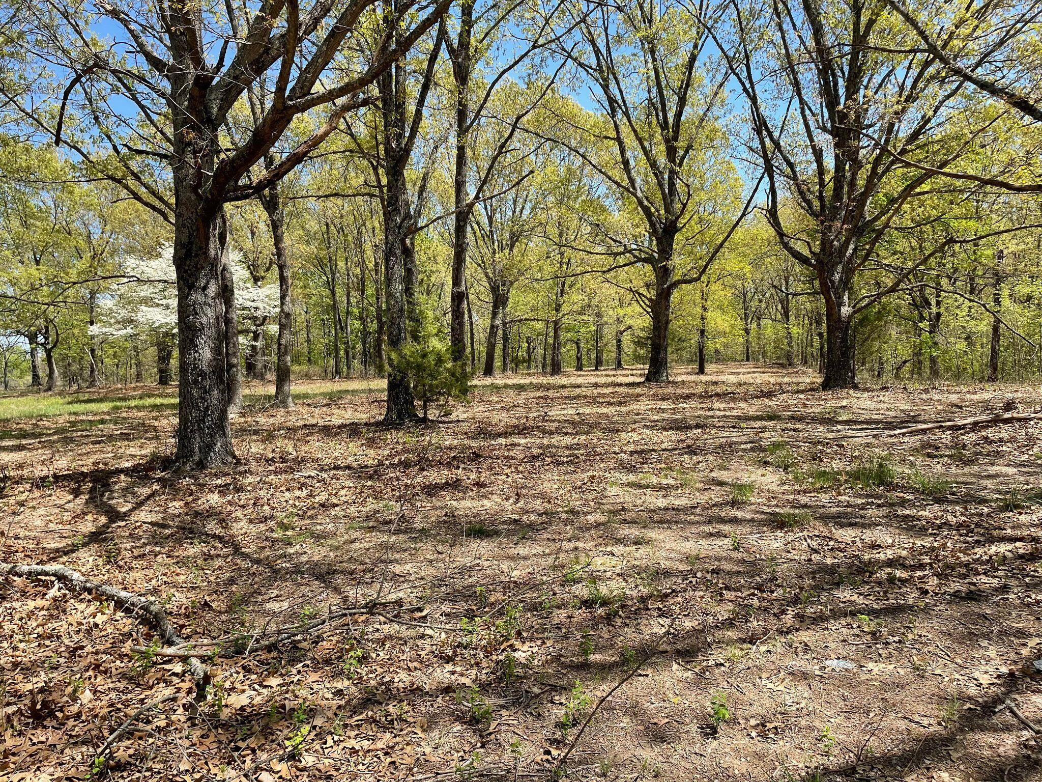 Route 5 County Road 321 Property Photo 1
