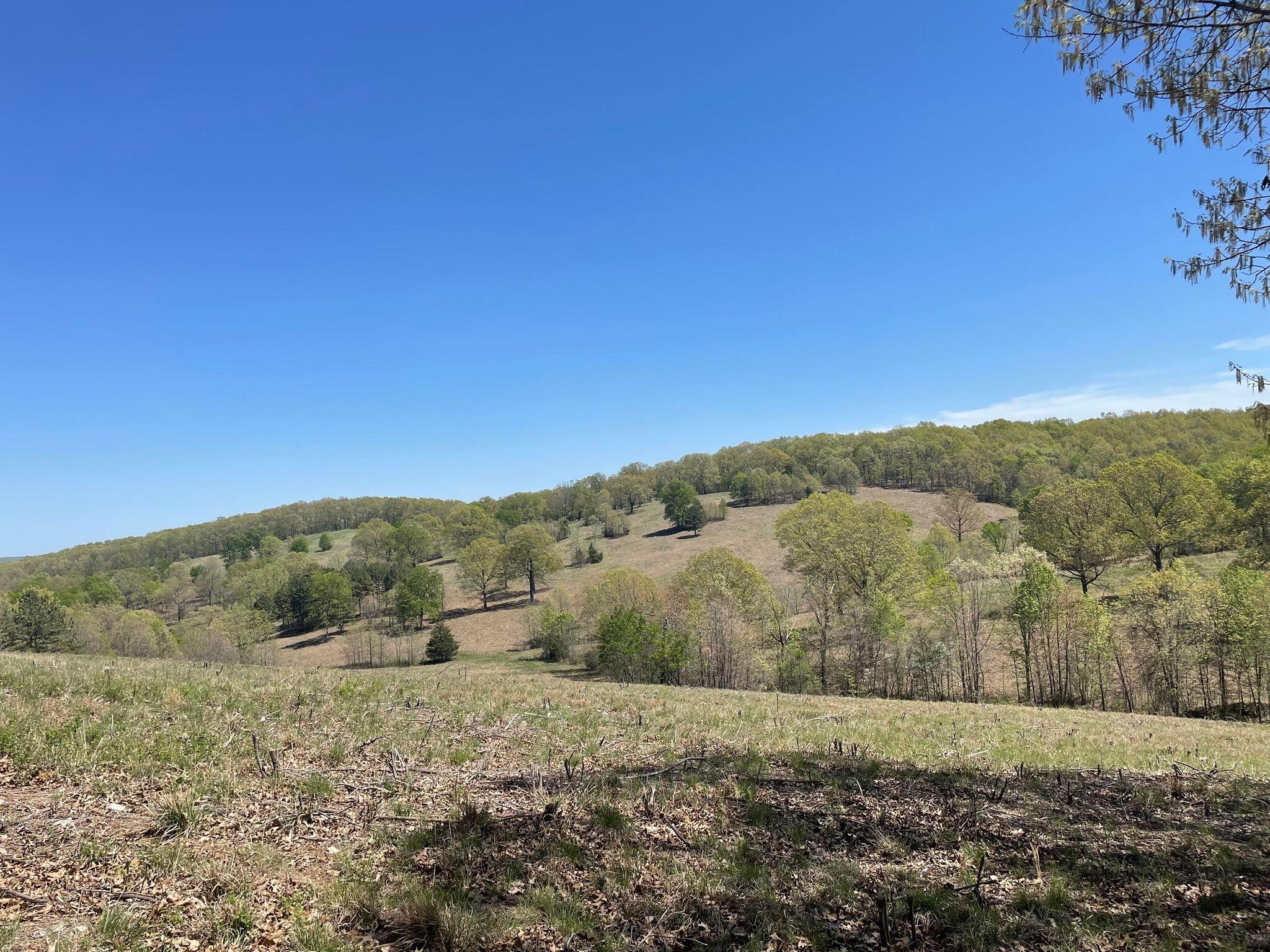 Route 5 County Road 321 Property Photo 3