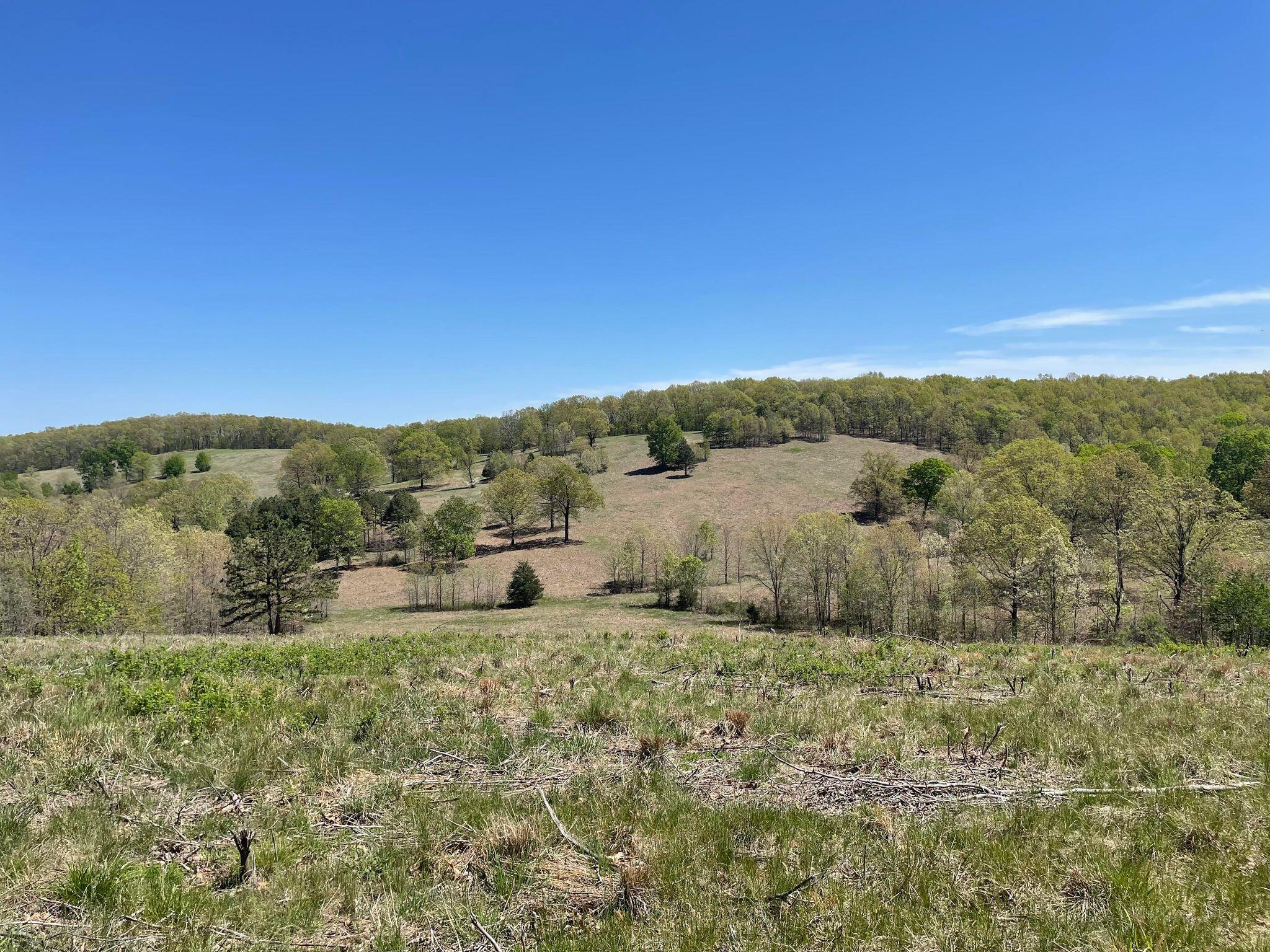 Route 5 County Road 321 Property Photo 4