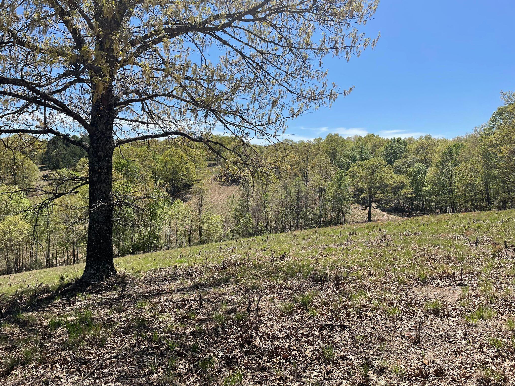 Route 5 County Road 321 Property Photo 7