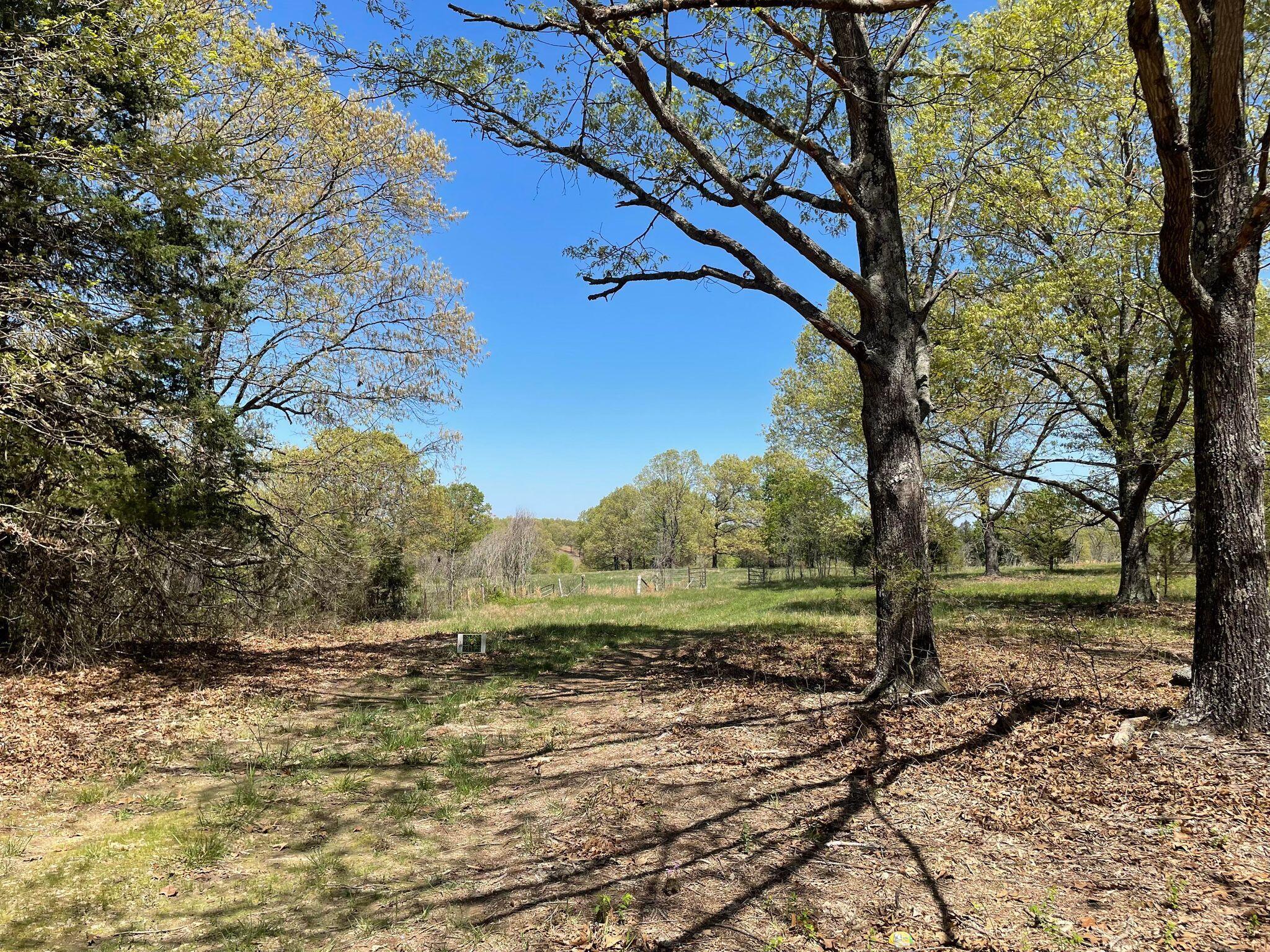 Route 5 County Road 321 Property Photo 8