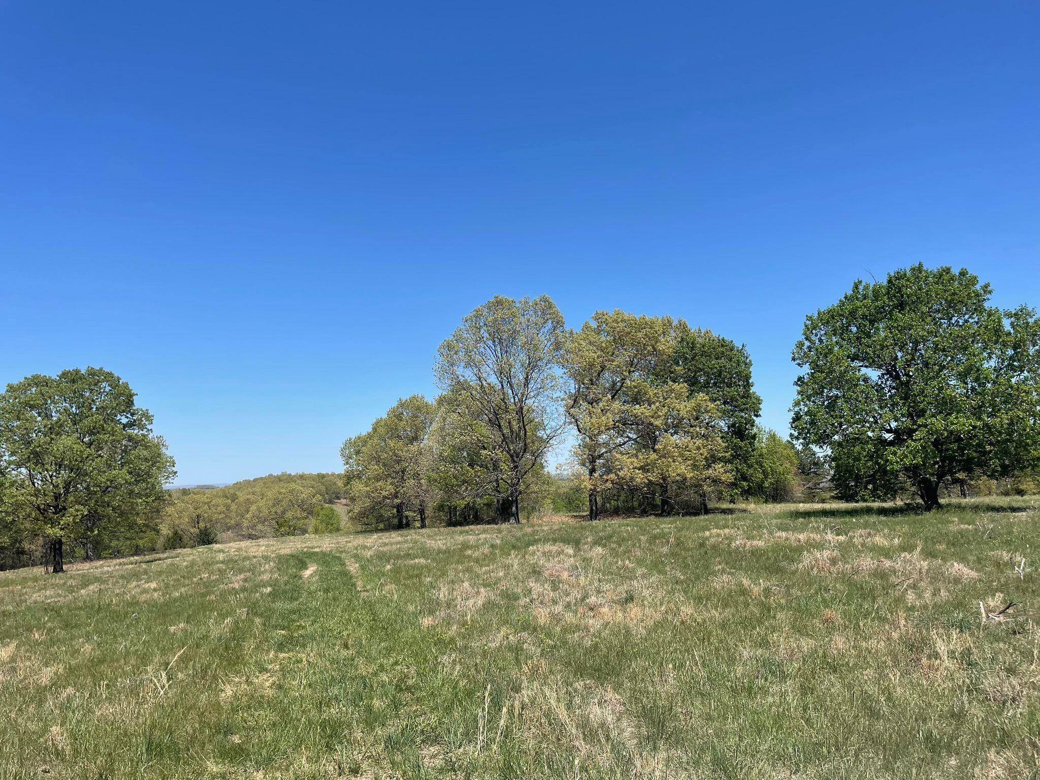 Route 5 County Road 321 Property Photo 9