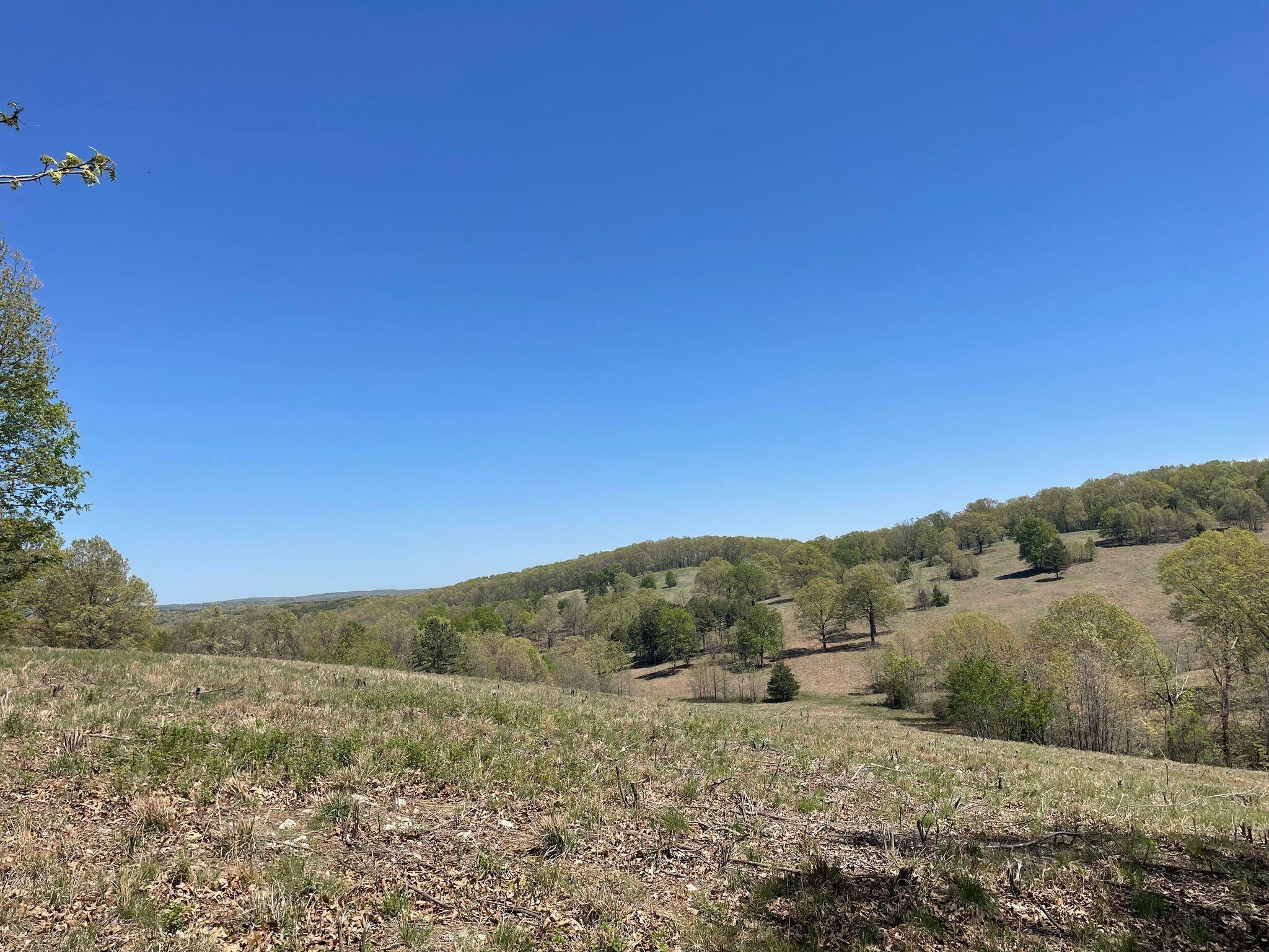 Route 5 County Road 321 Property Photo 10