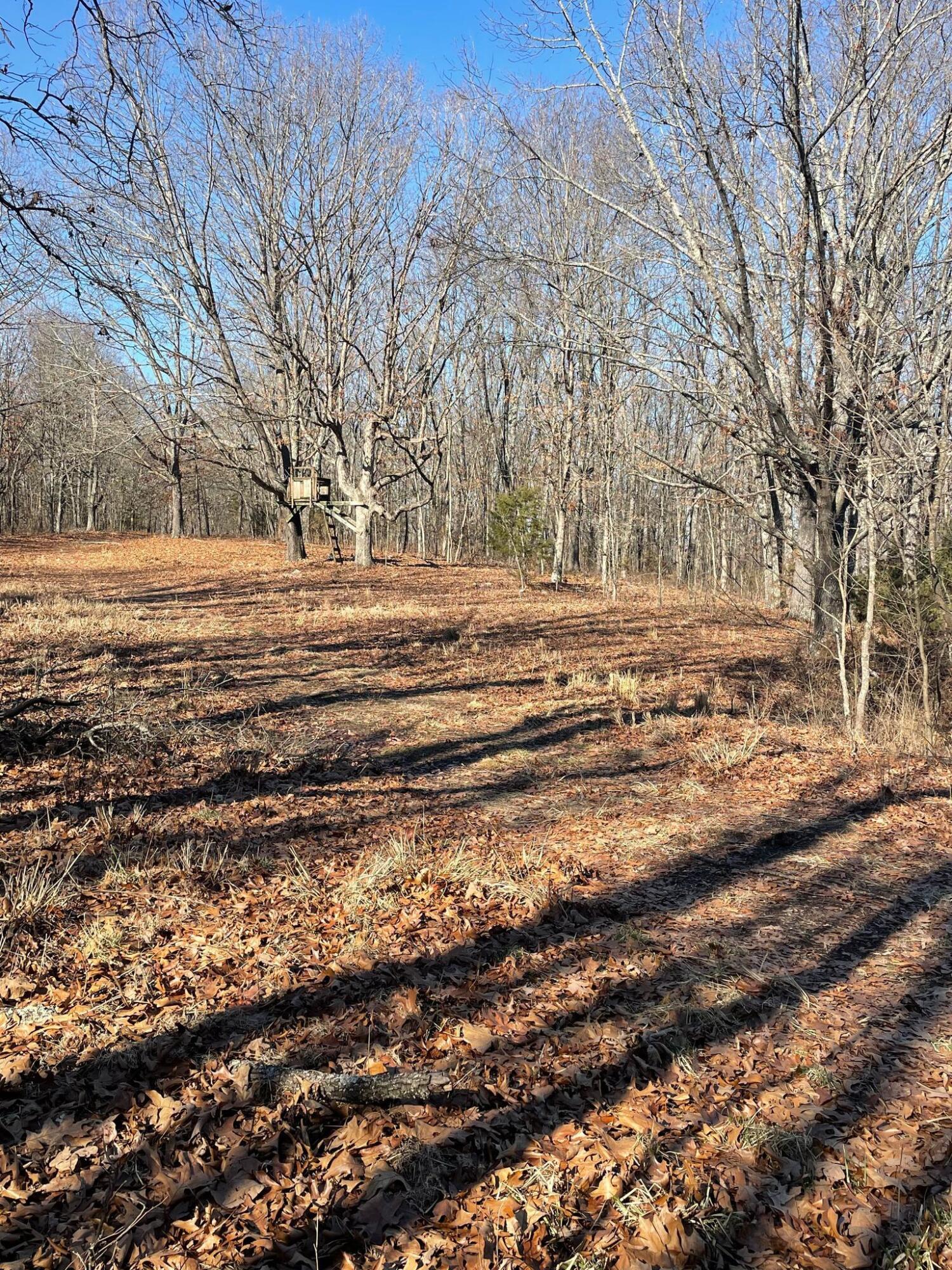 Route 5 County Road 321 Property Photo 11
