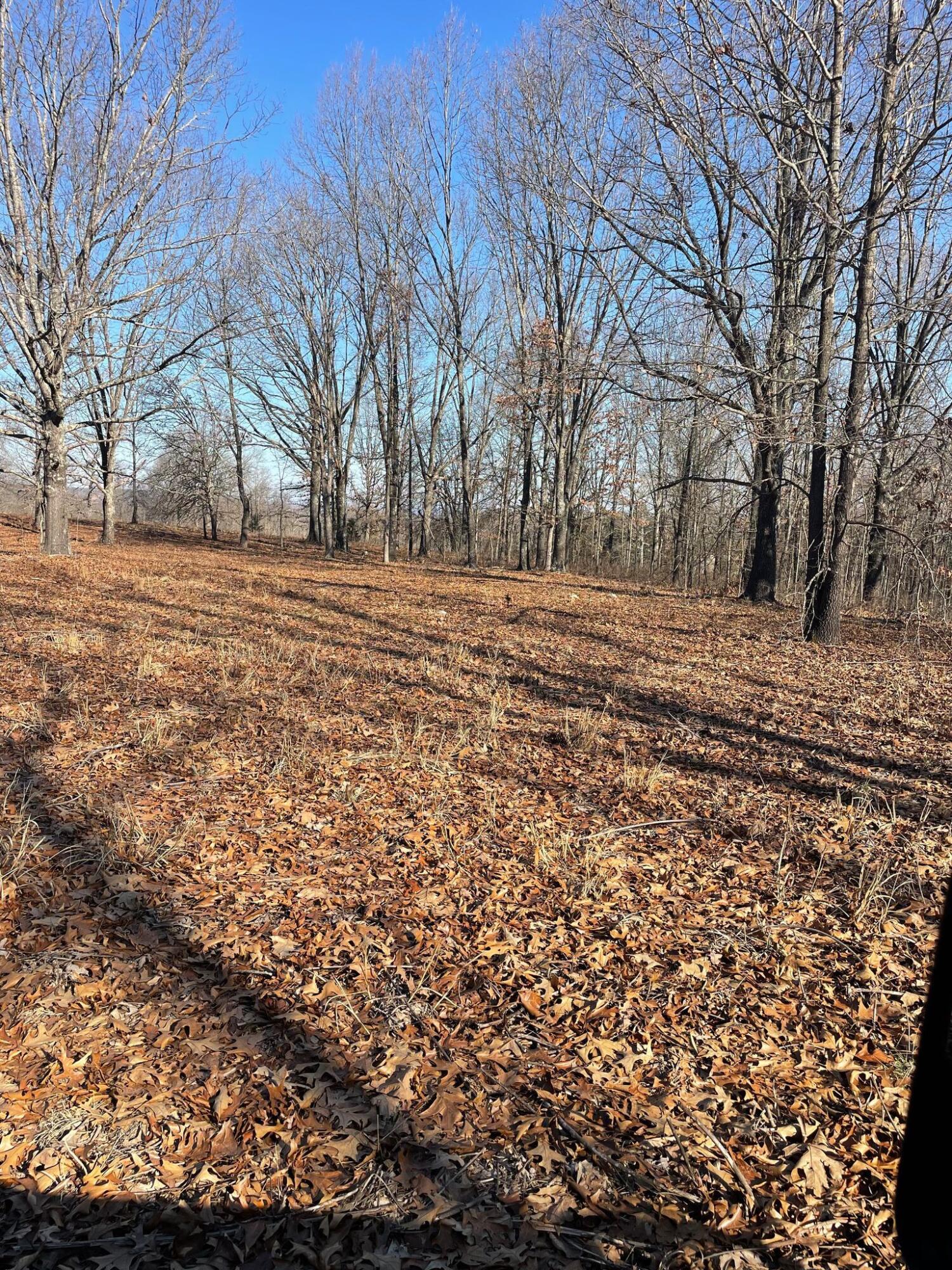 Route 5 County Road 321 Property Photo 12