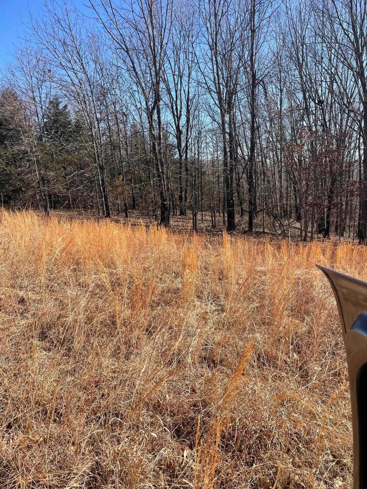 Route 5 County Road 321 Property Photo 13