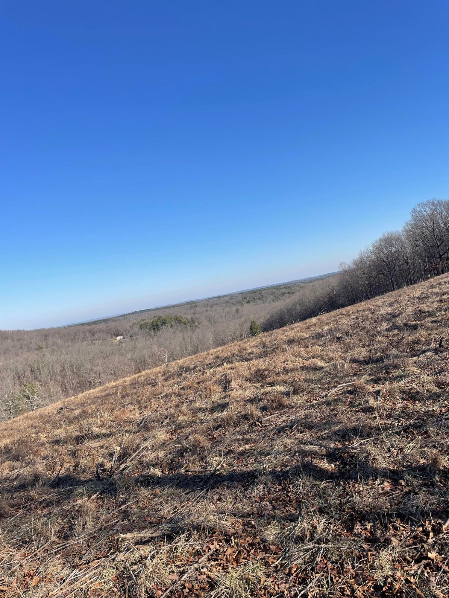 Route 5 County Road 321 Property Photo 15
