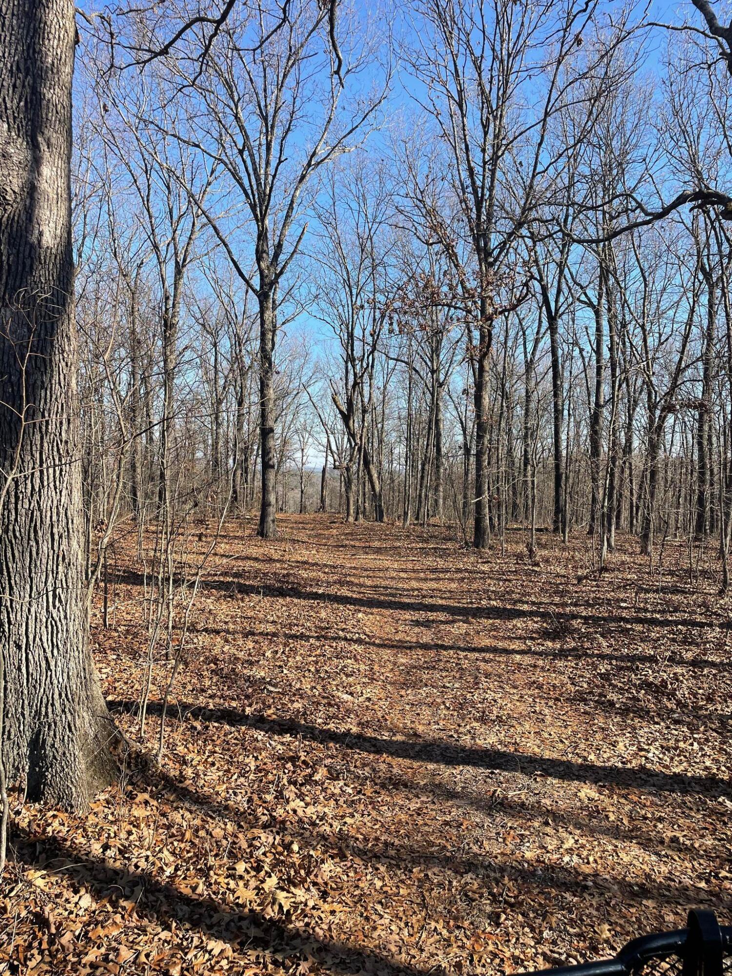 Route 5 County Road 321 Property Photo 16