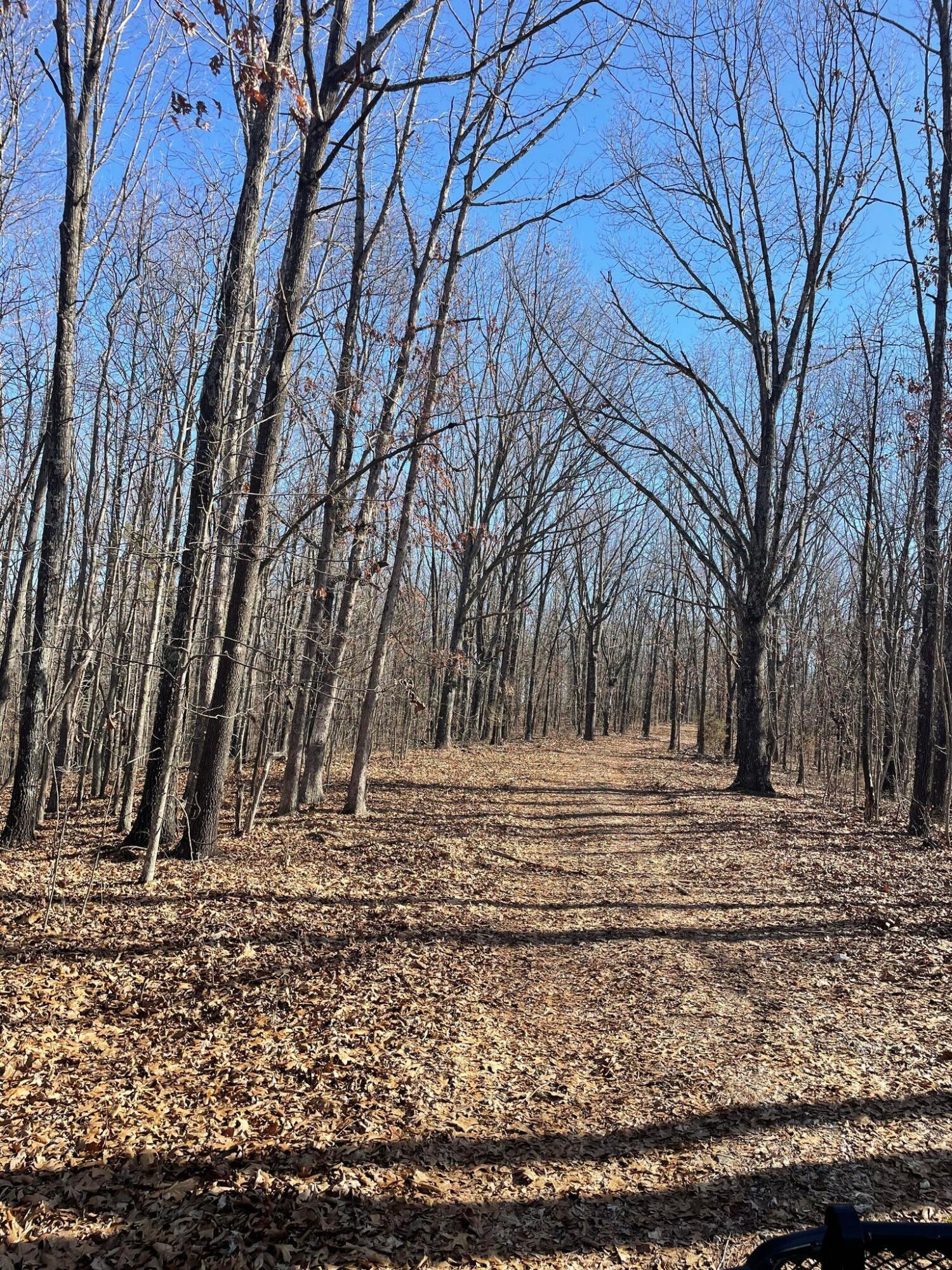 Route 5 County Road 321 Property Photo 17