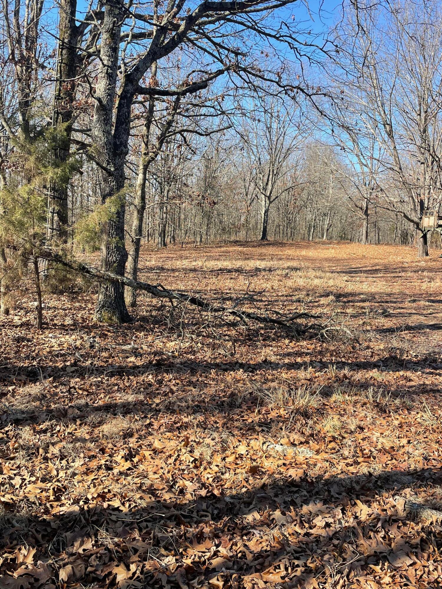 Route 5 County Road 321 Property Photo 19