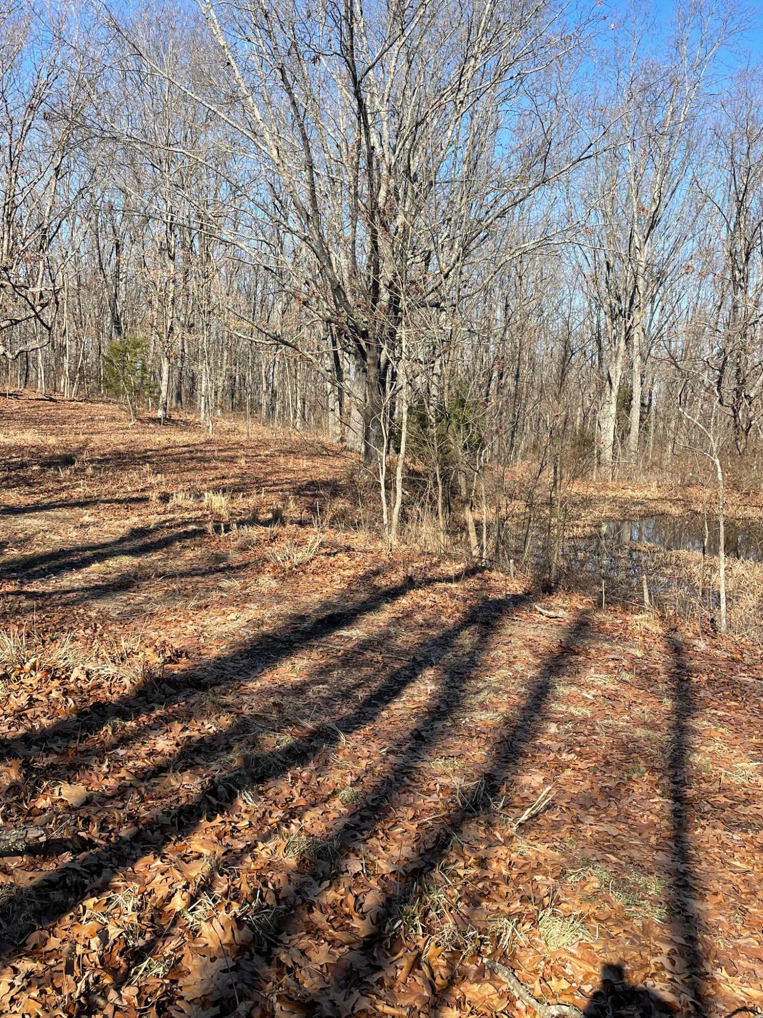 Route 5 County Road 321 Property Photo 21