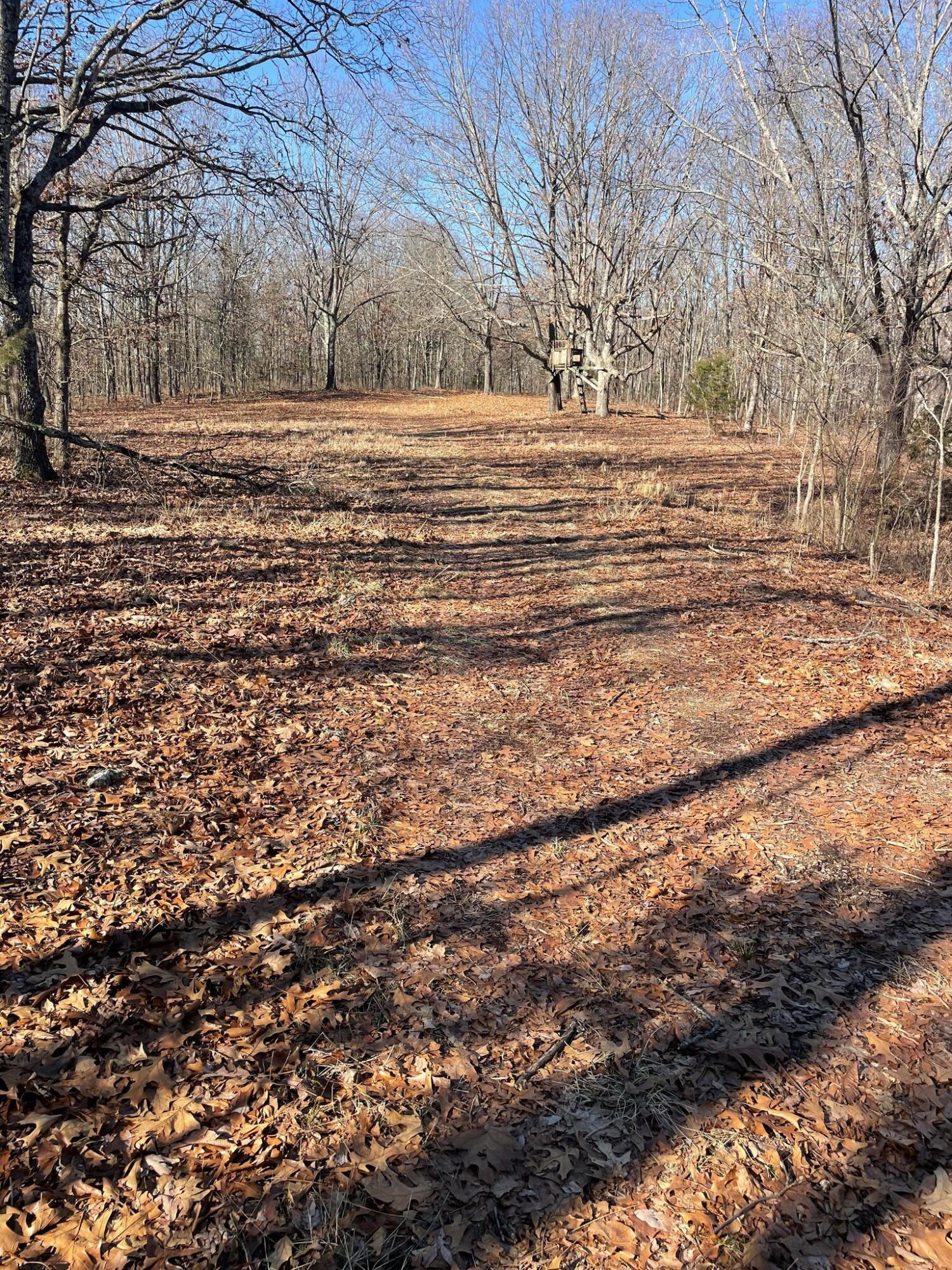 Route 5 County Road 321 Property Photo 22