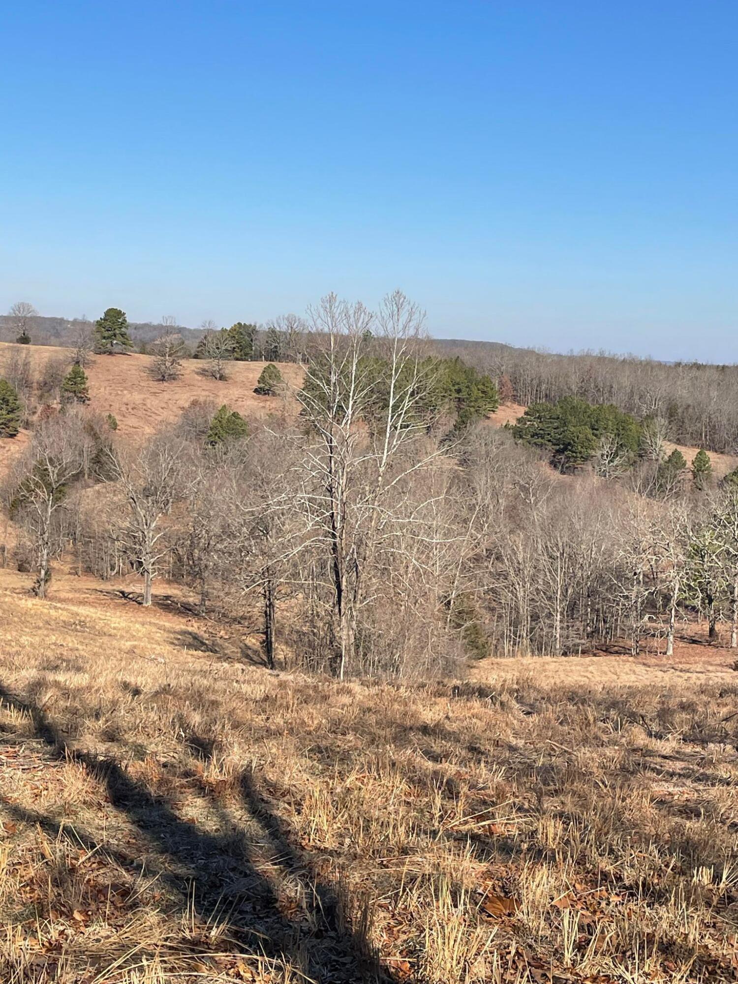 Route 5 County Road 321 Property Photo 23