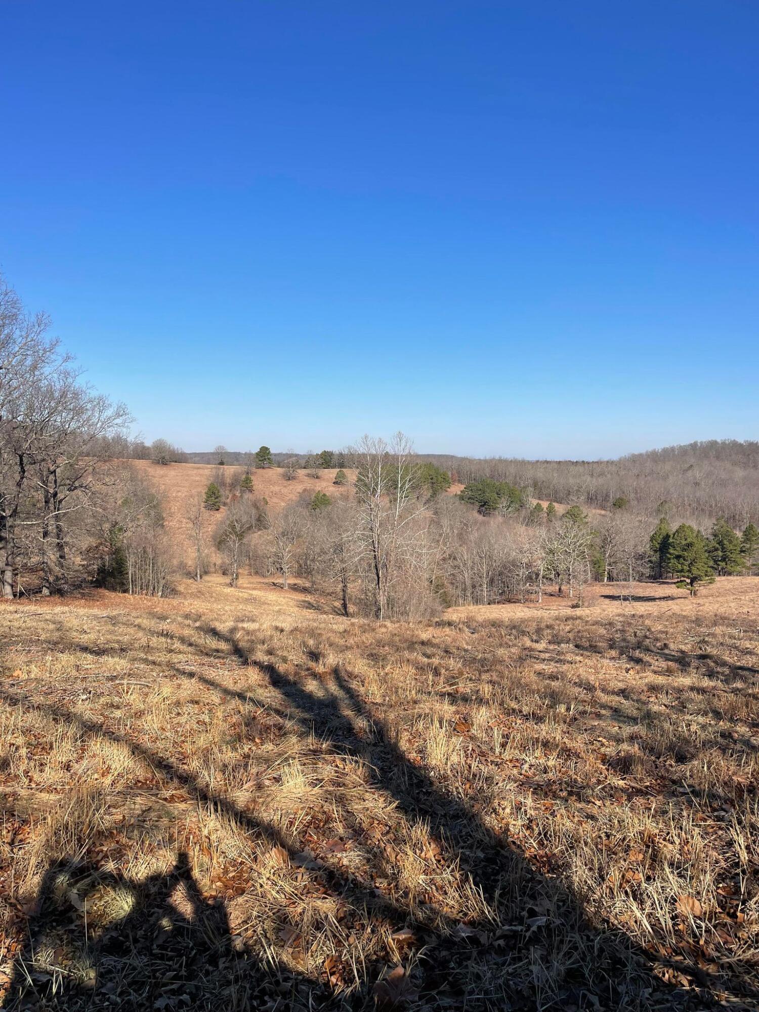 Route 5 County Road 321 Property Photo 24