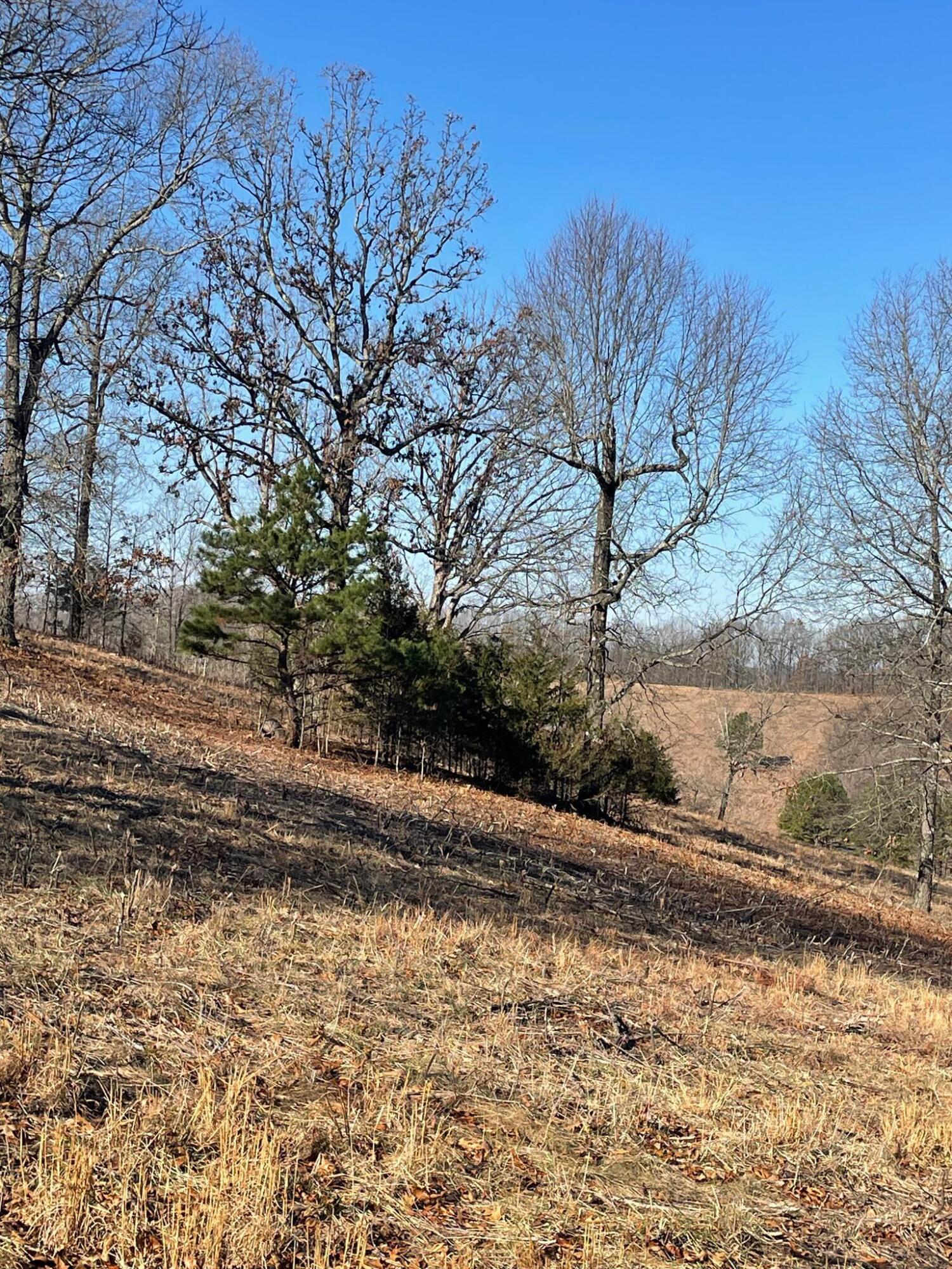 Route 5 County Road 321 Property Photo 25