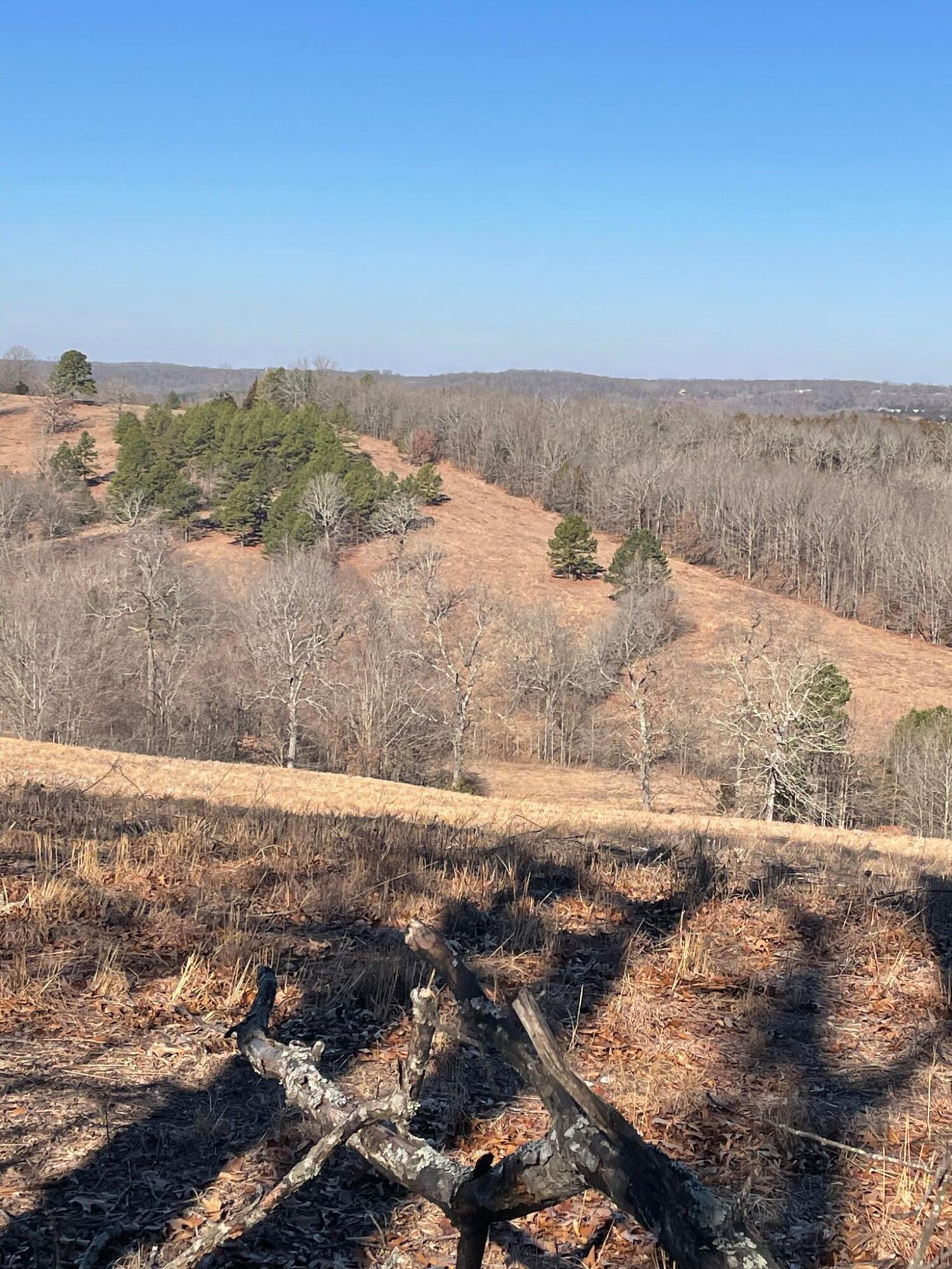 Route 5 County Road 321 Property Photo 27