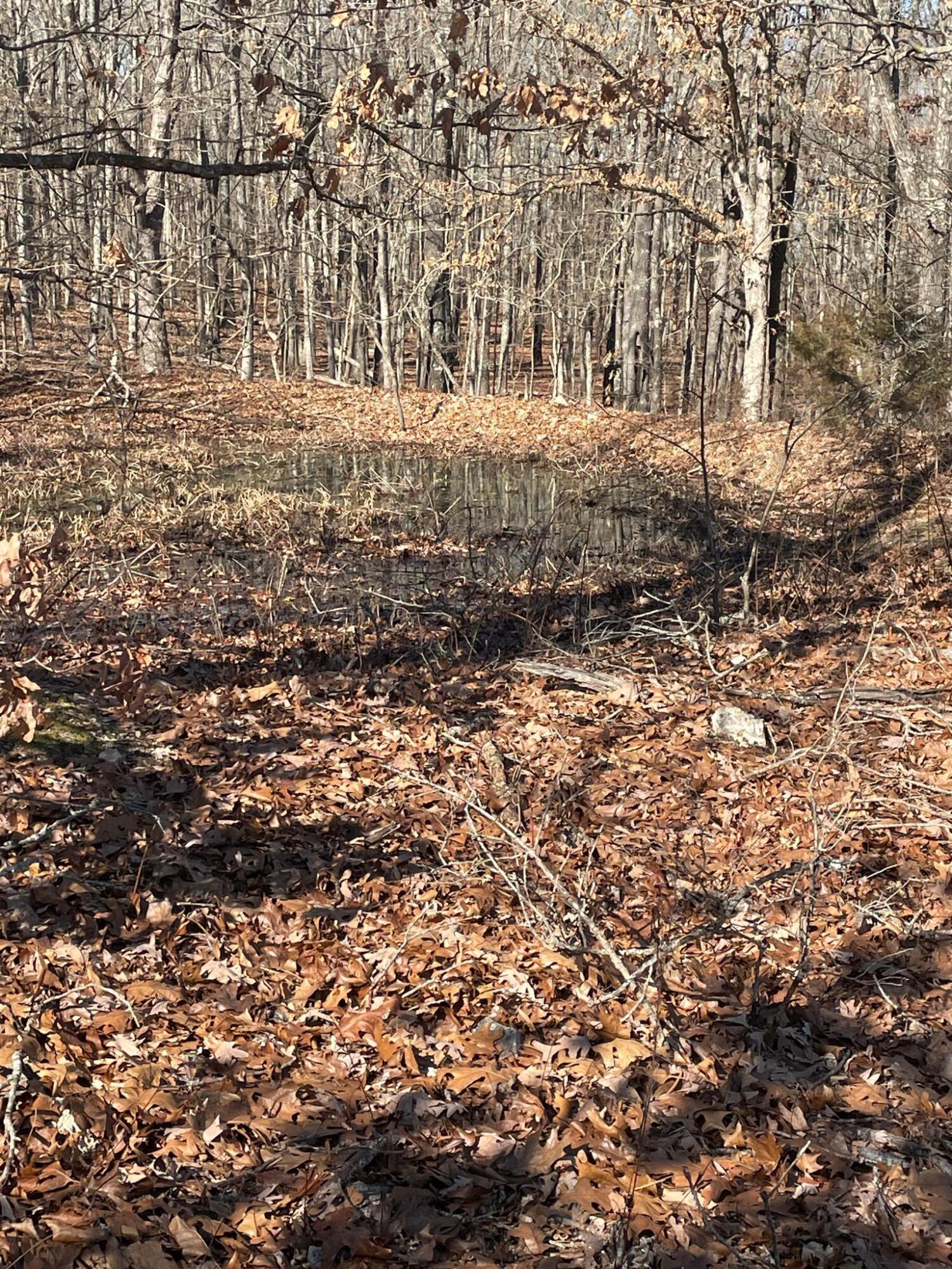 Route 5 County Road 321 Property Photo 29