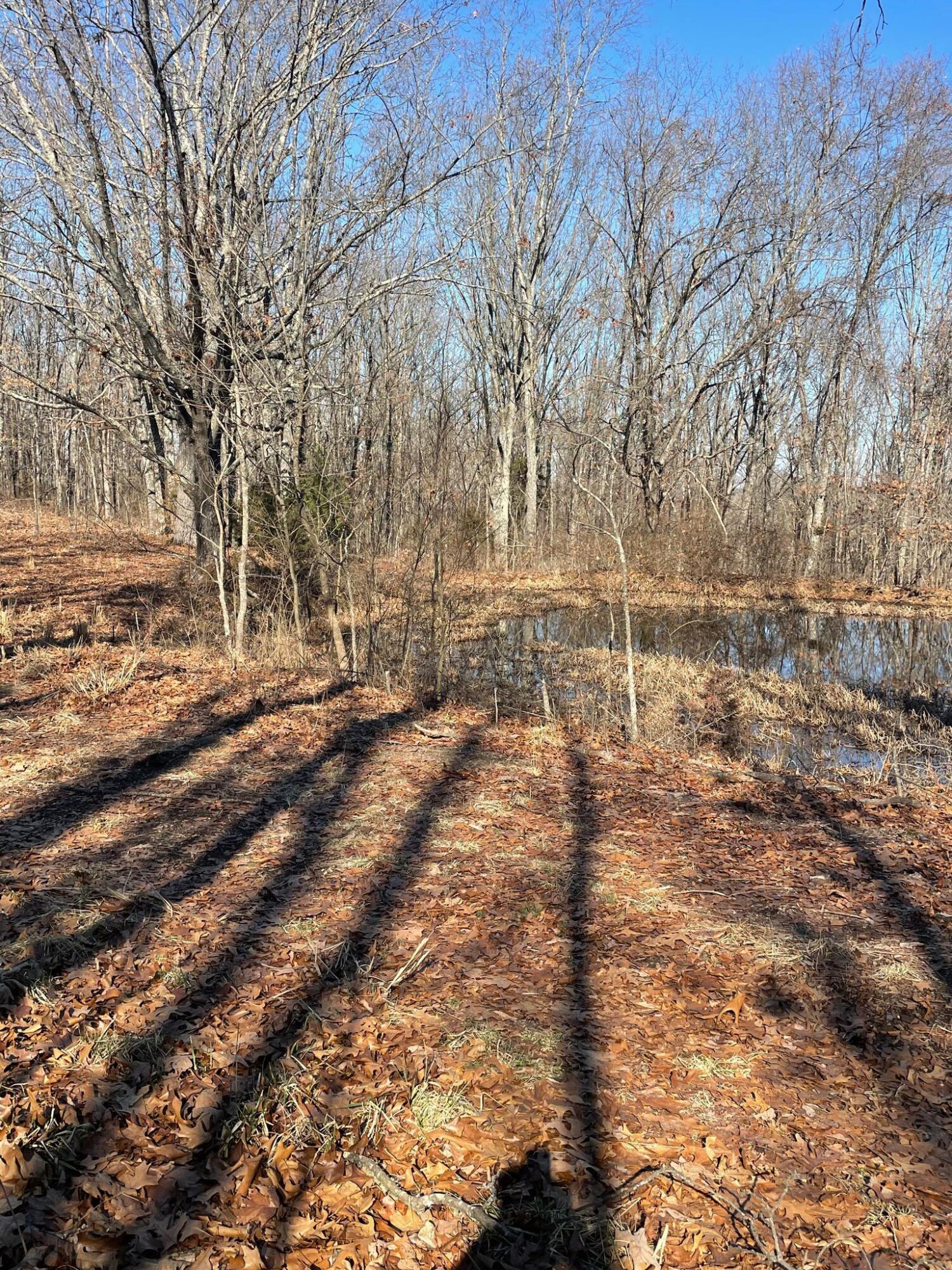 Route 5 County Road 321 Property Photo 30