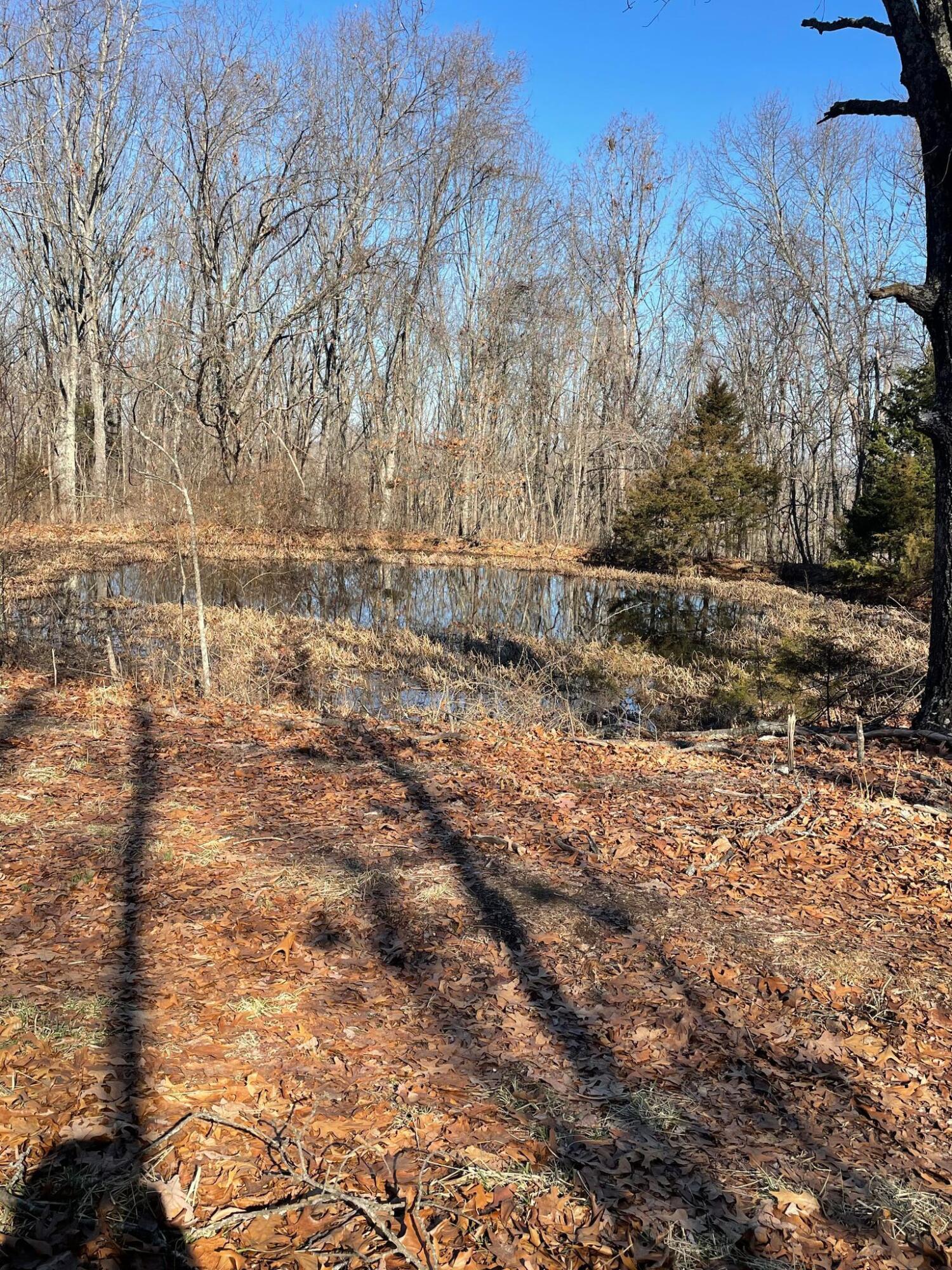 Route 5 County Road 321 Property Photo 31
