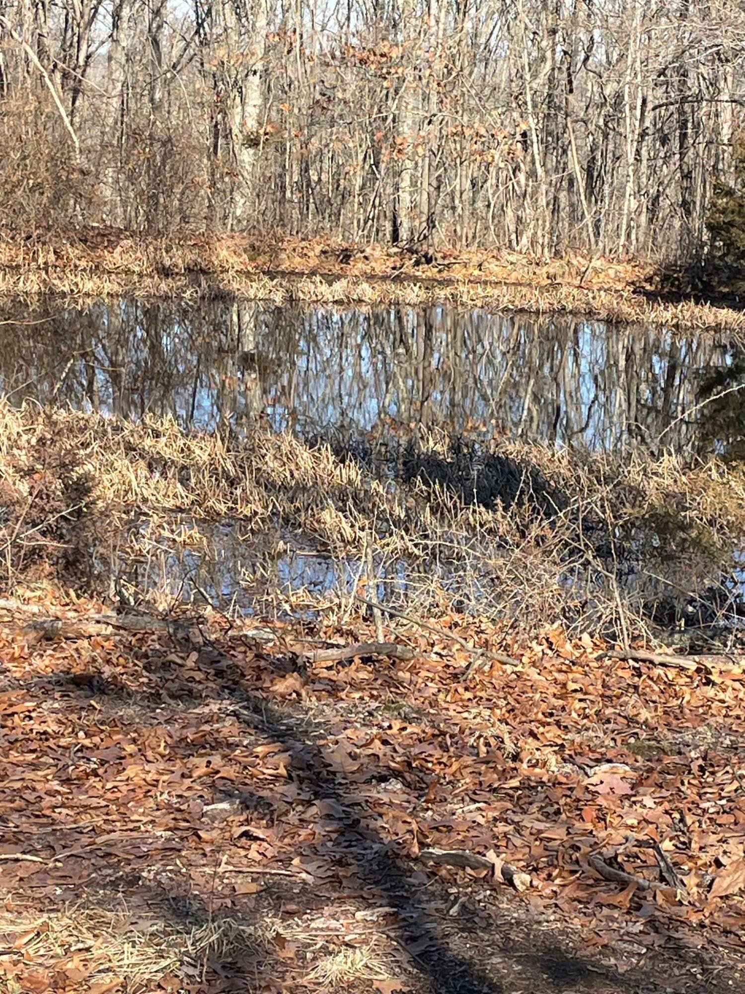 Route 5 County Road 321 Property Photo 32