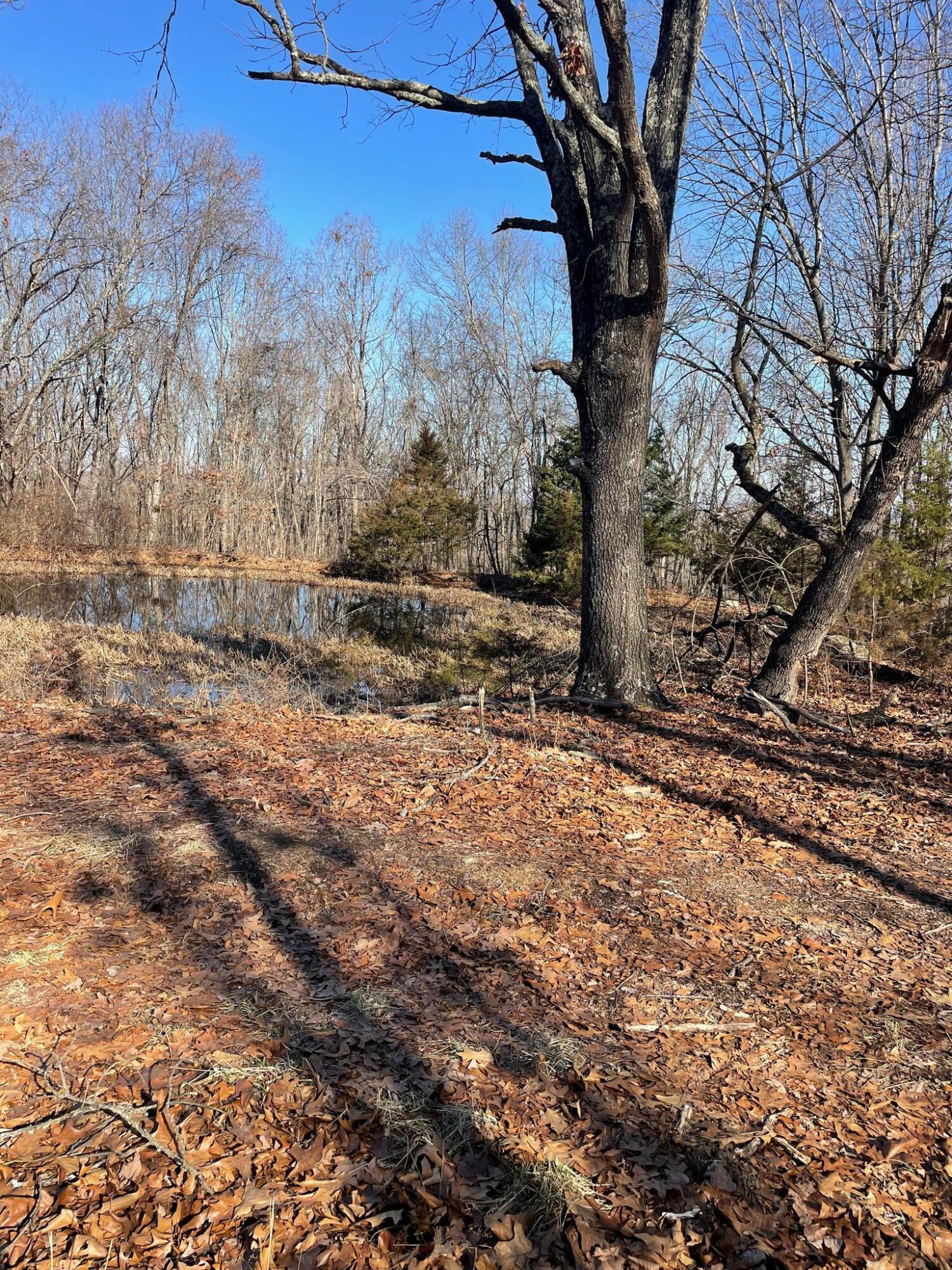Route 5 County Road 321 Property Photo 34