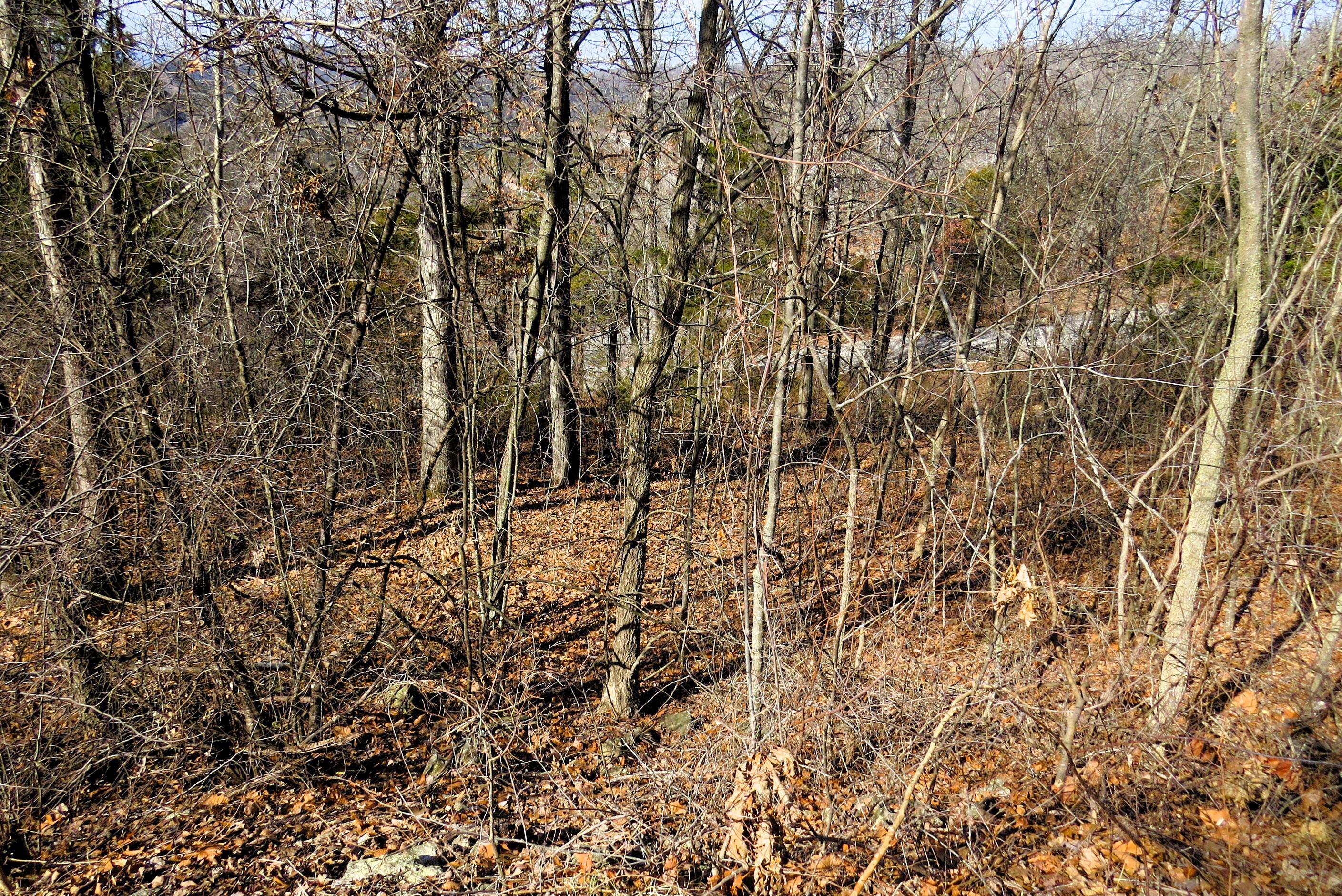 Lot 273a Hill Haven Road Property Photo 2