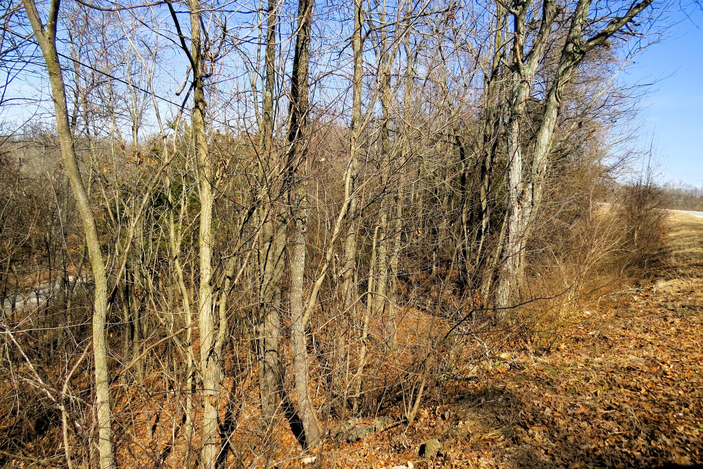 Lot 273a Hill Haven Road Property Photo 4