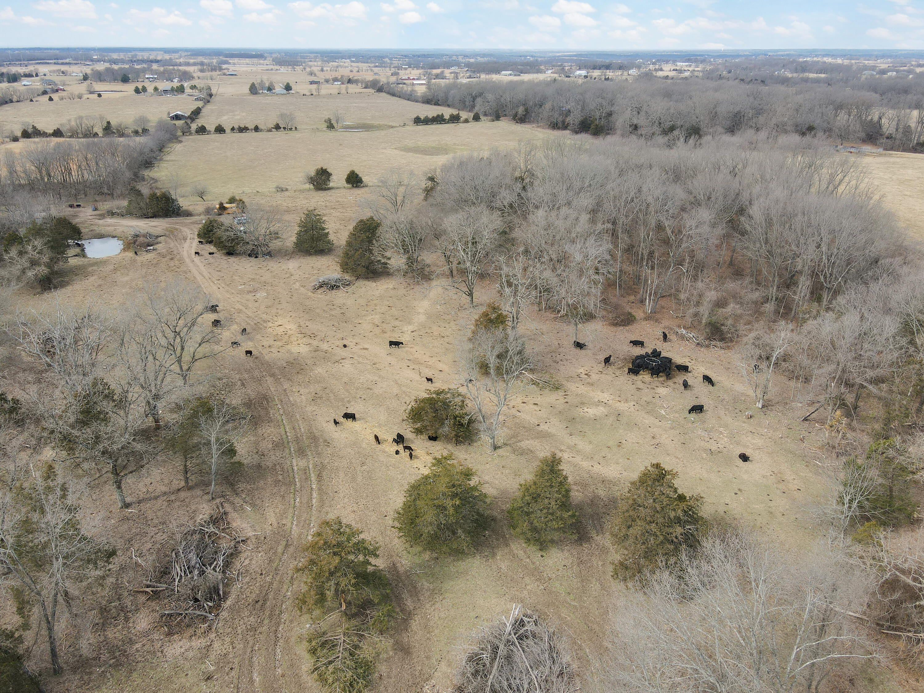 1681 Prairie Ridge Road Property Photo 16