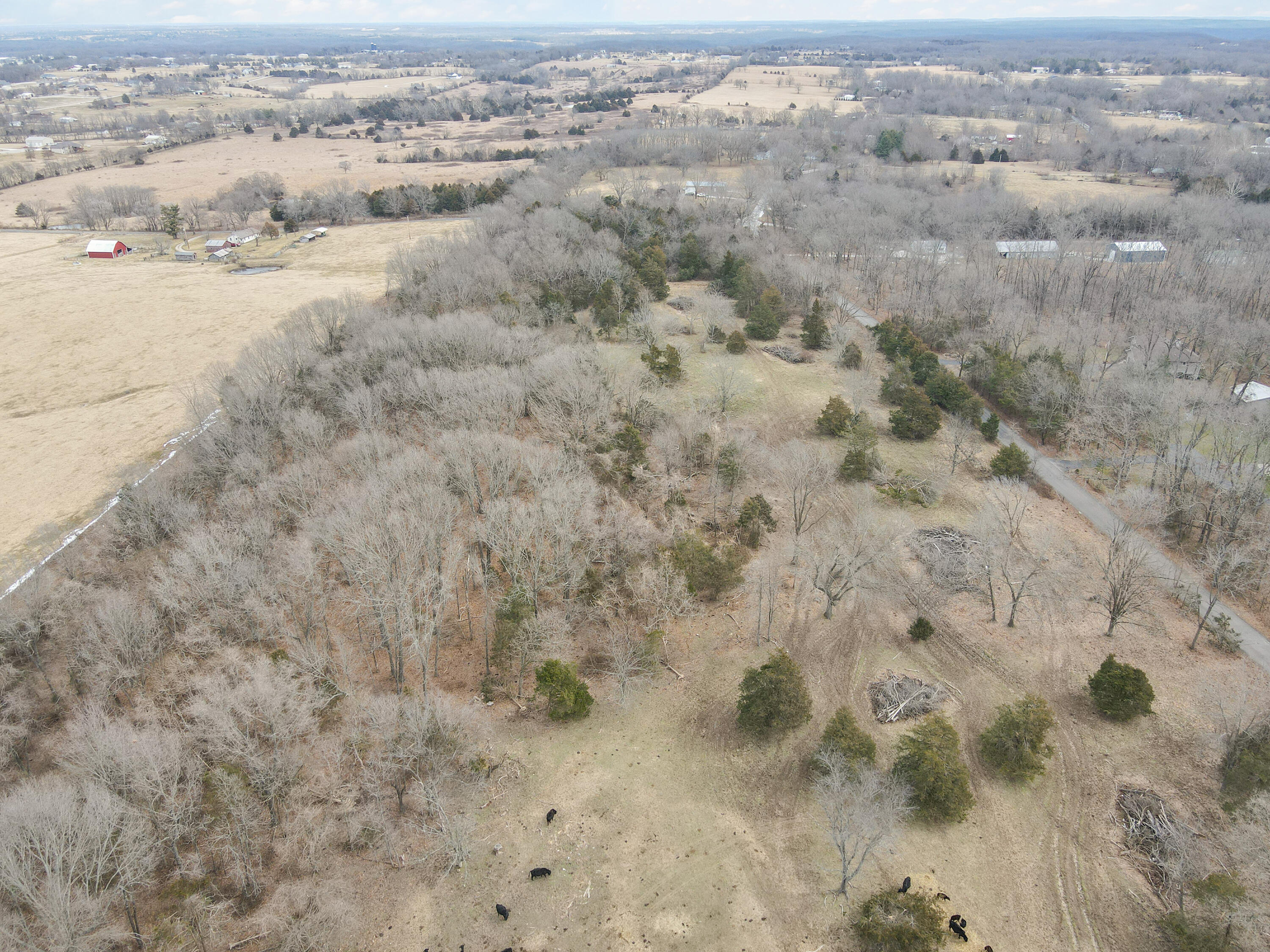 1681 Prairie Ridge Road Property Photo 11