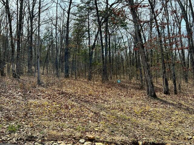 Lot 81 Eagles Point/green Cypress Lane Property Photo