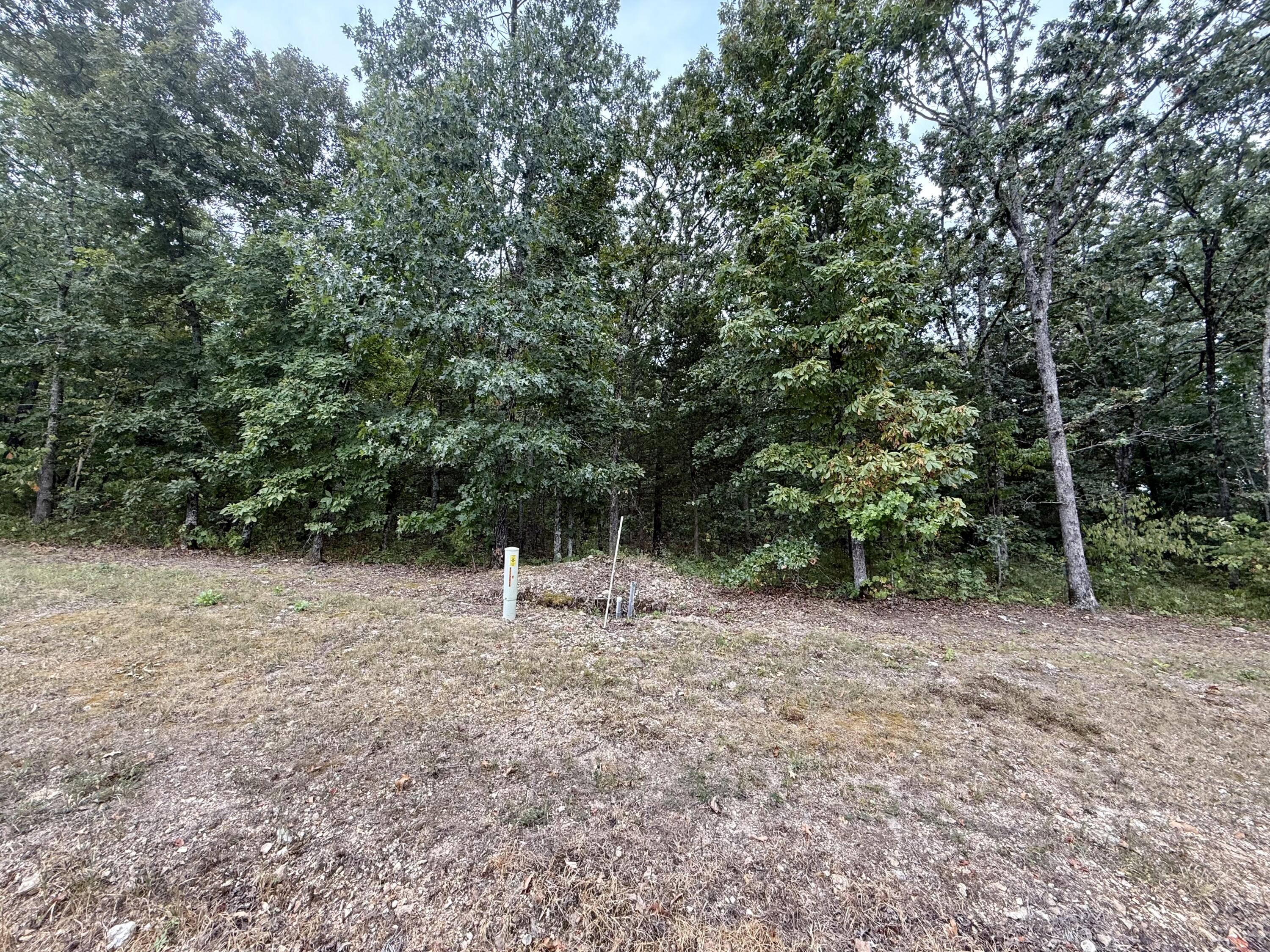 Lot 81 Eagles Point/green Cypress Lane Property Photo 3