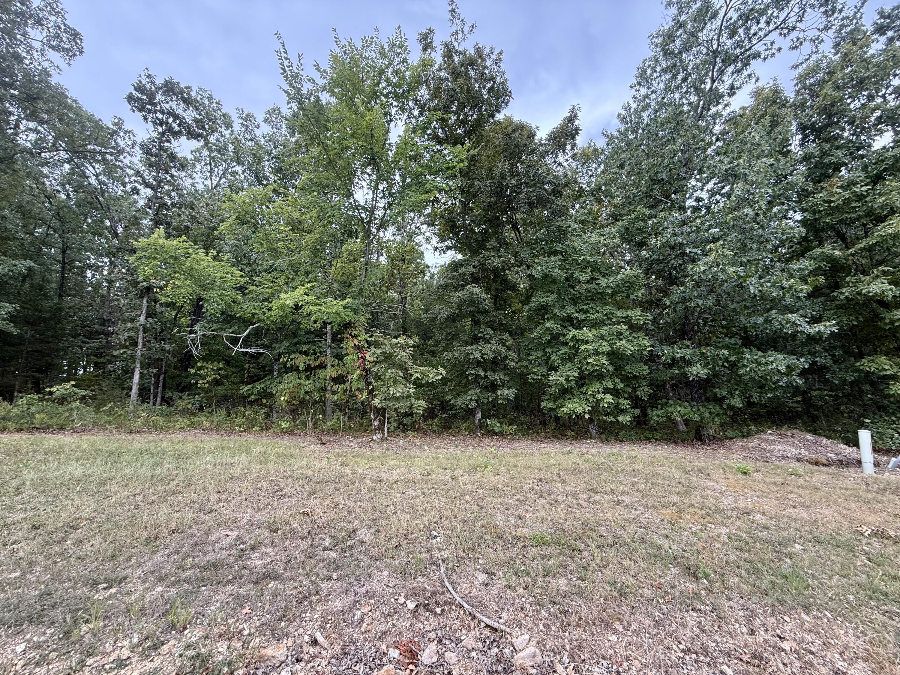 Lot 82 Eagles Point/green Cypress Lane Property Photo 2