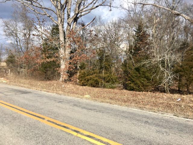 Tbd State Highway Y Property Photo 13