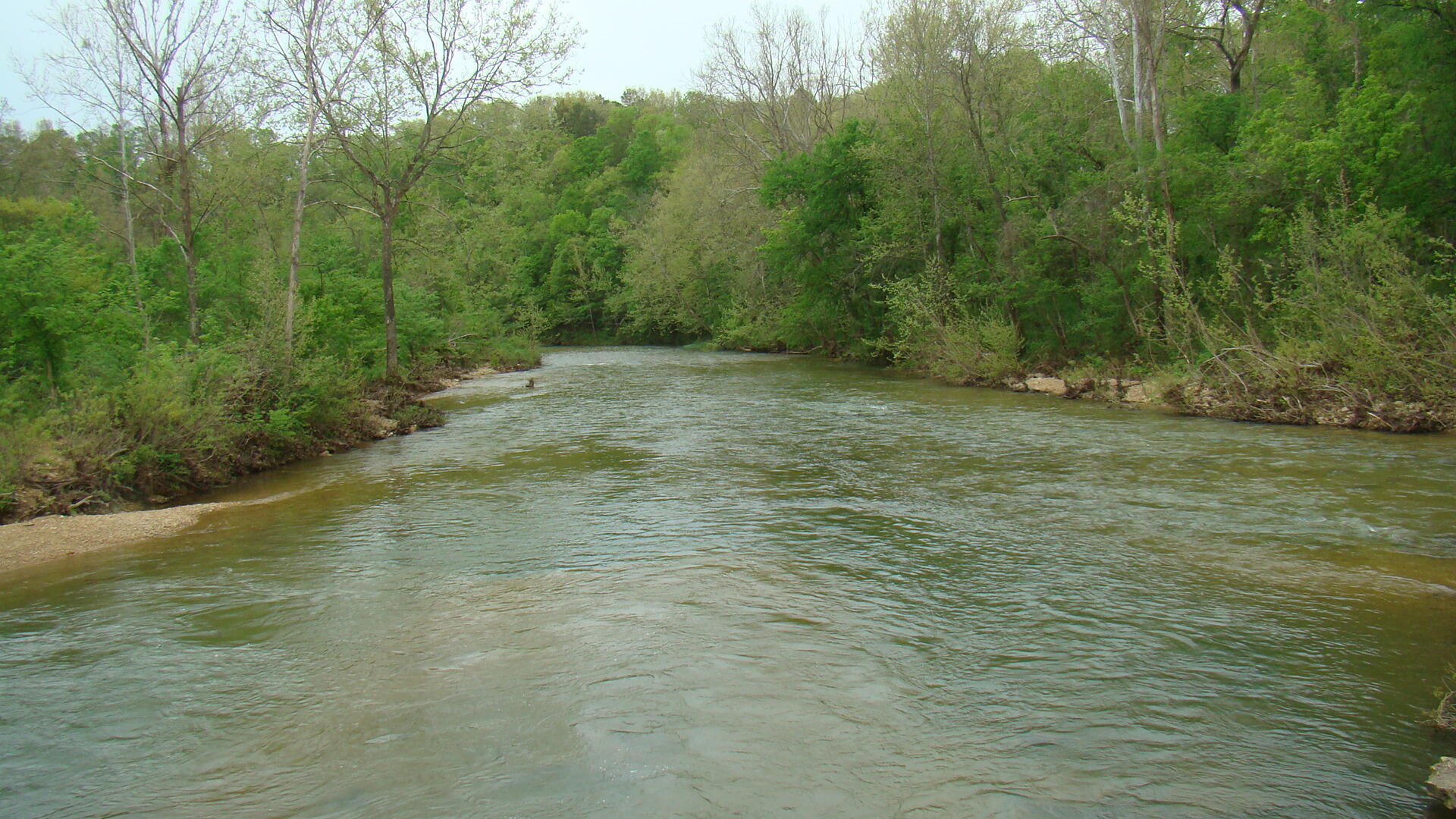 Tbd State Highway Y Property Photo 14
