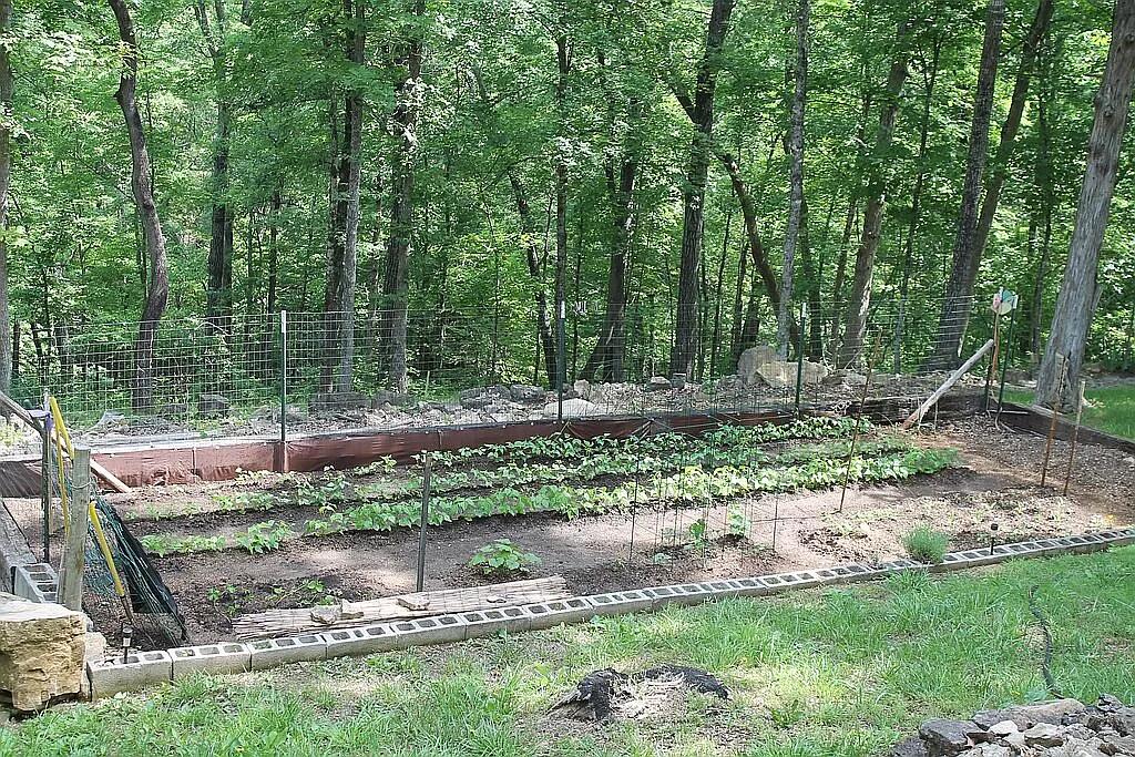 452 Coon Hill Road Property Photo 66