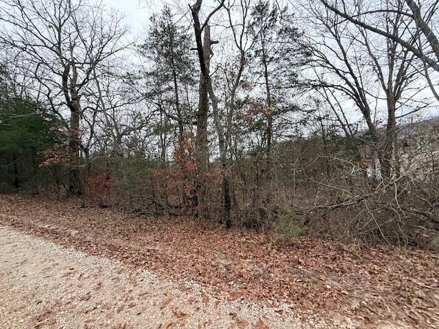 0 Linden Lane Property Photo 2