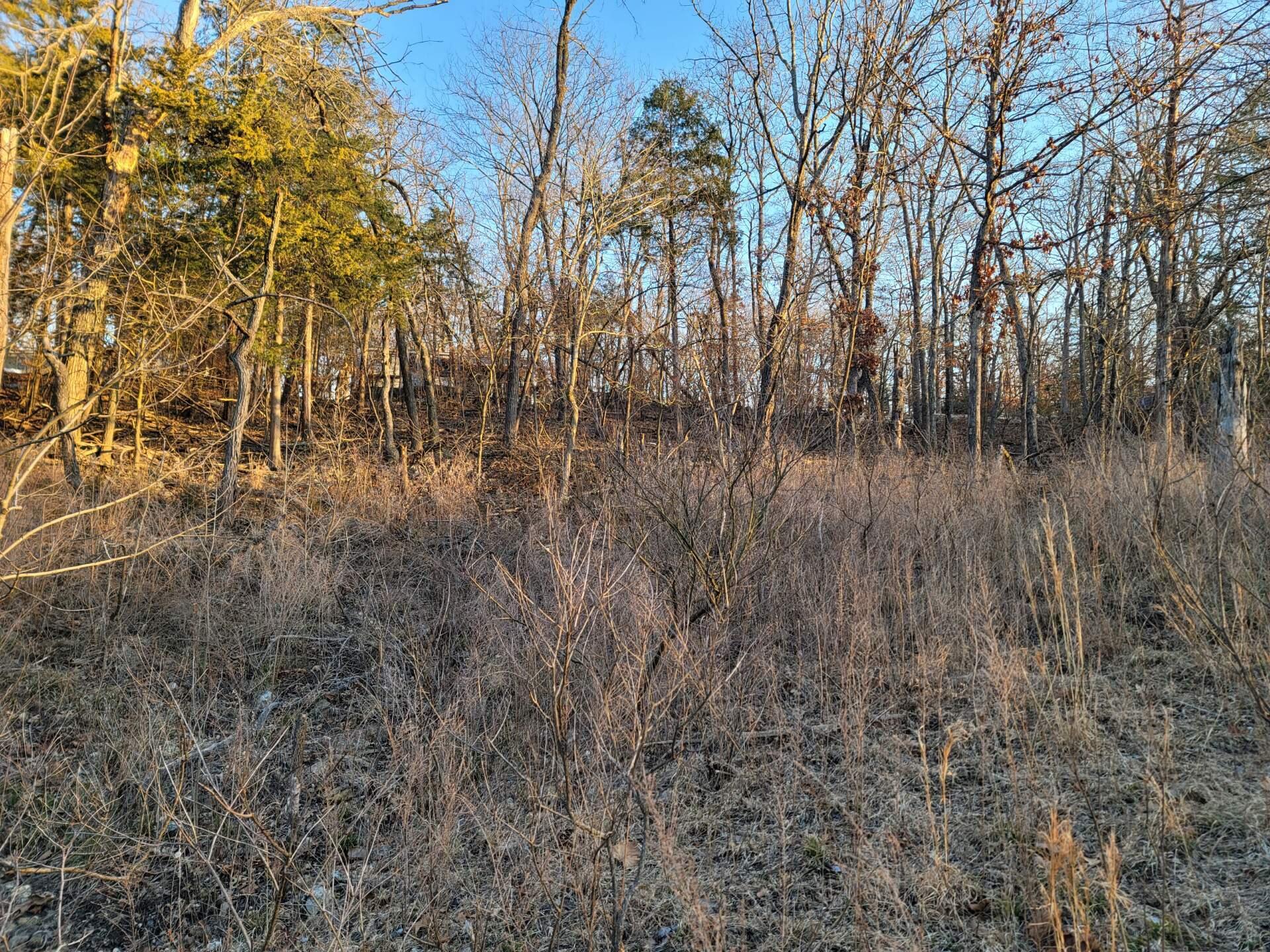 21031 Possum Trot Trail Property Photo 2