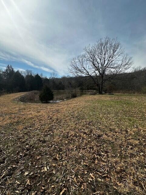 733 Old Sycamore Loop Property Photo 21