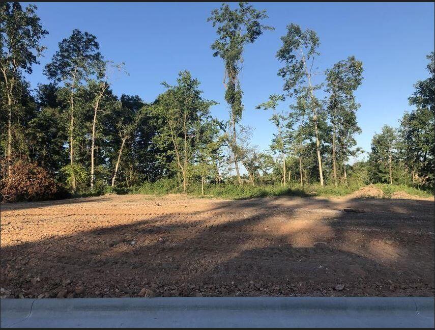 Lot 20 Anthony Park Subdivision Ph 4 Property Photo 1