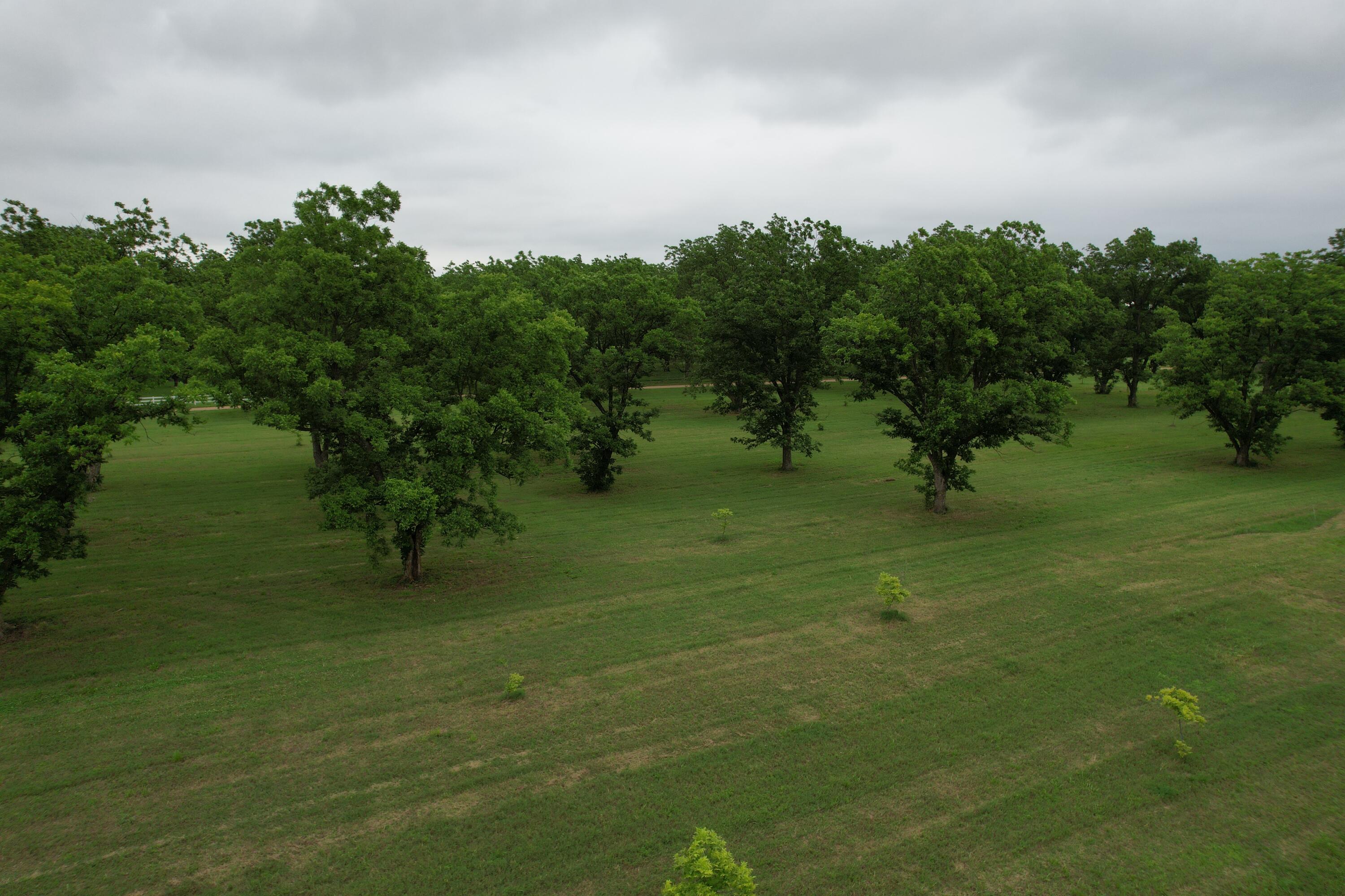 18465 County Road 405 Property Photo 11