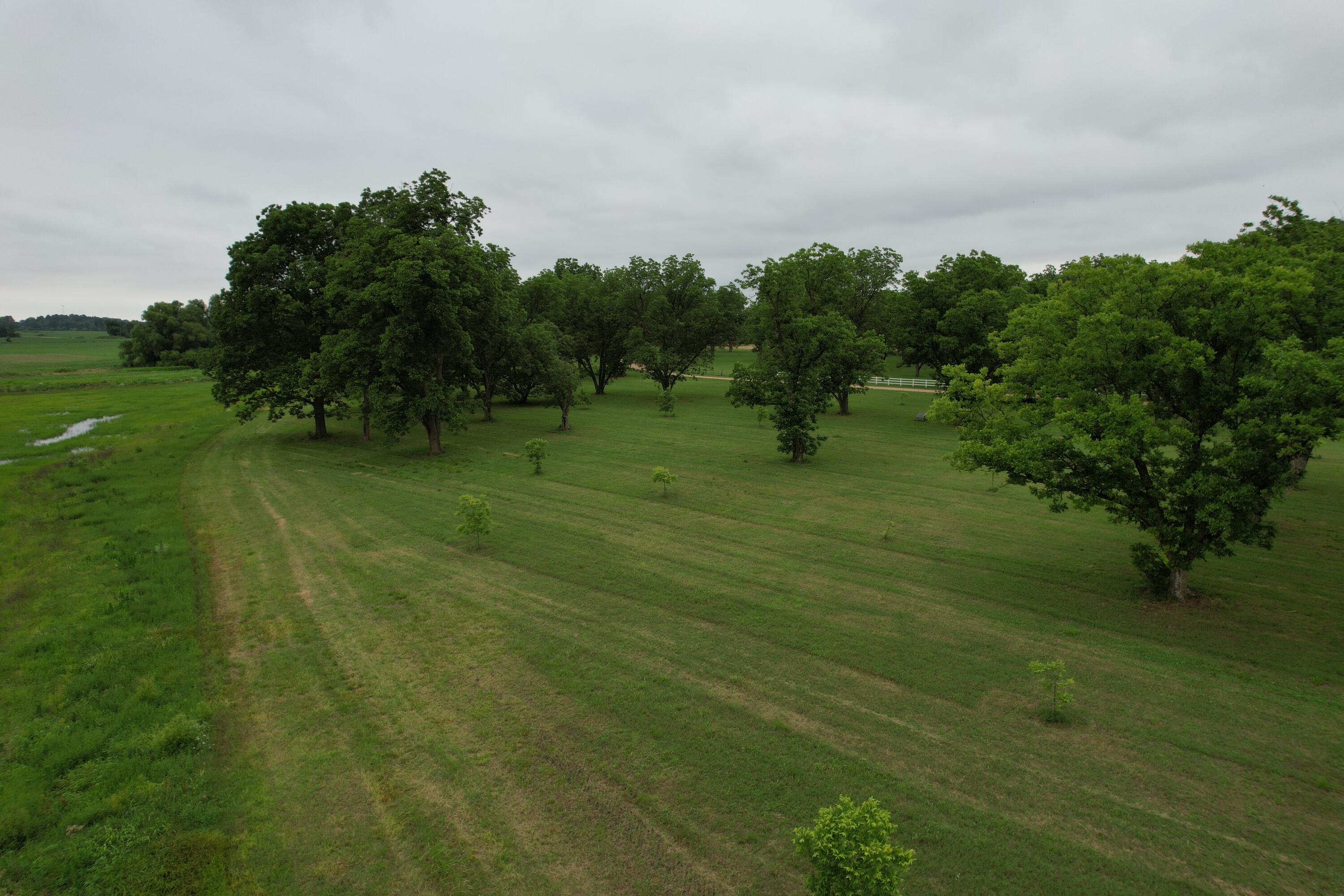 18465 County Road 405 Property Photo 13