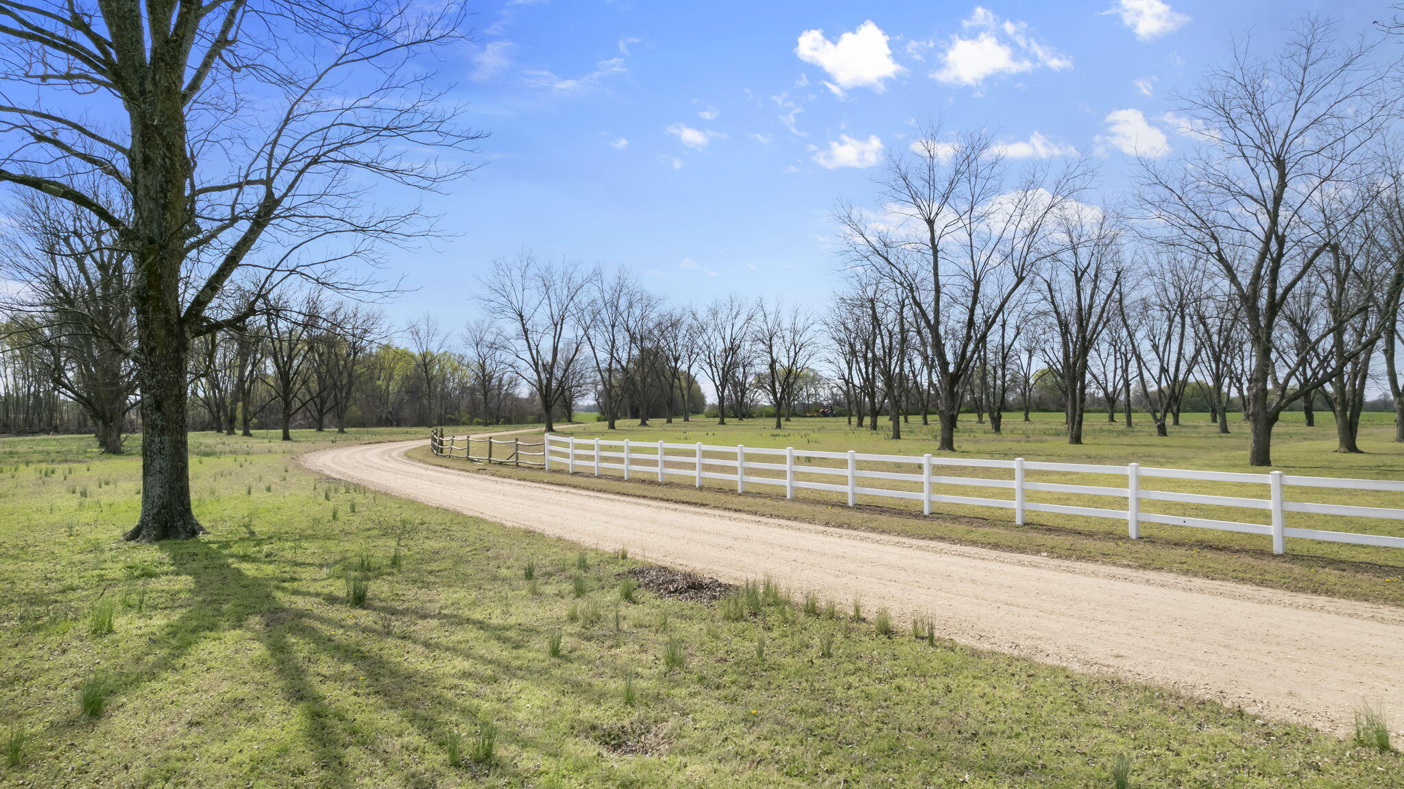 18465 County Road 405 Property Photo 69