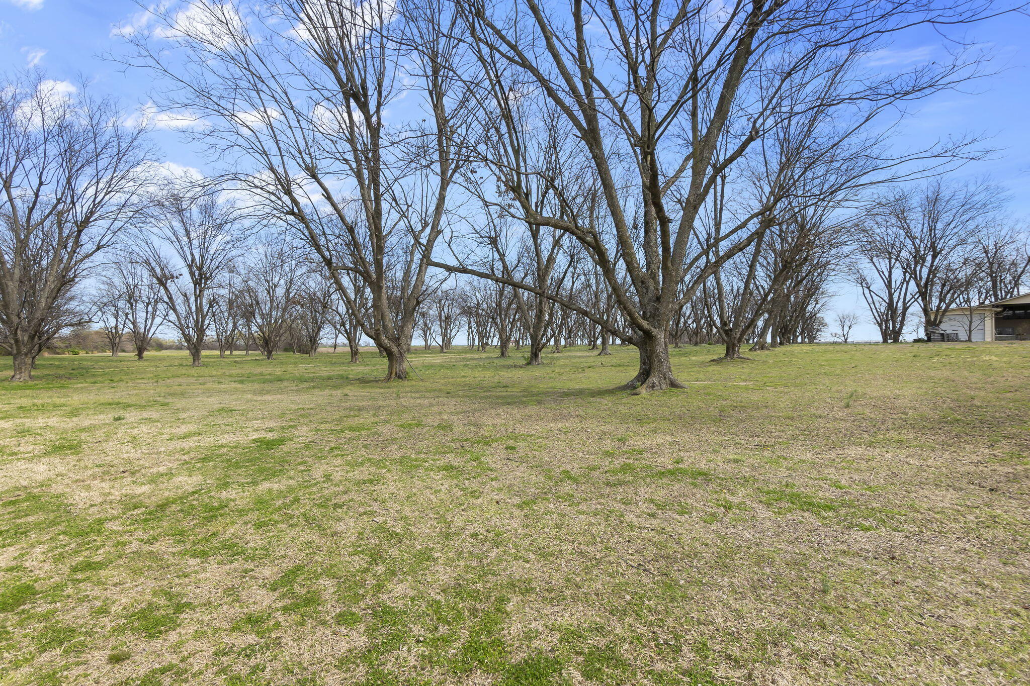 18465 County Road 405 Property Photo 81