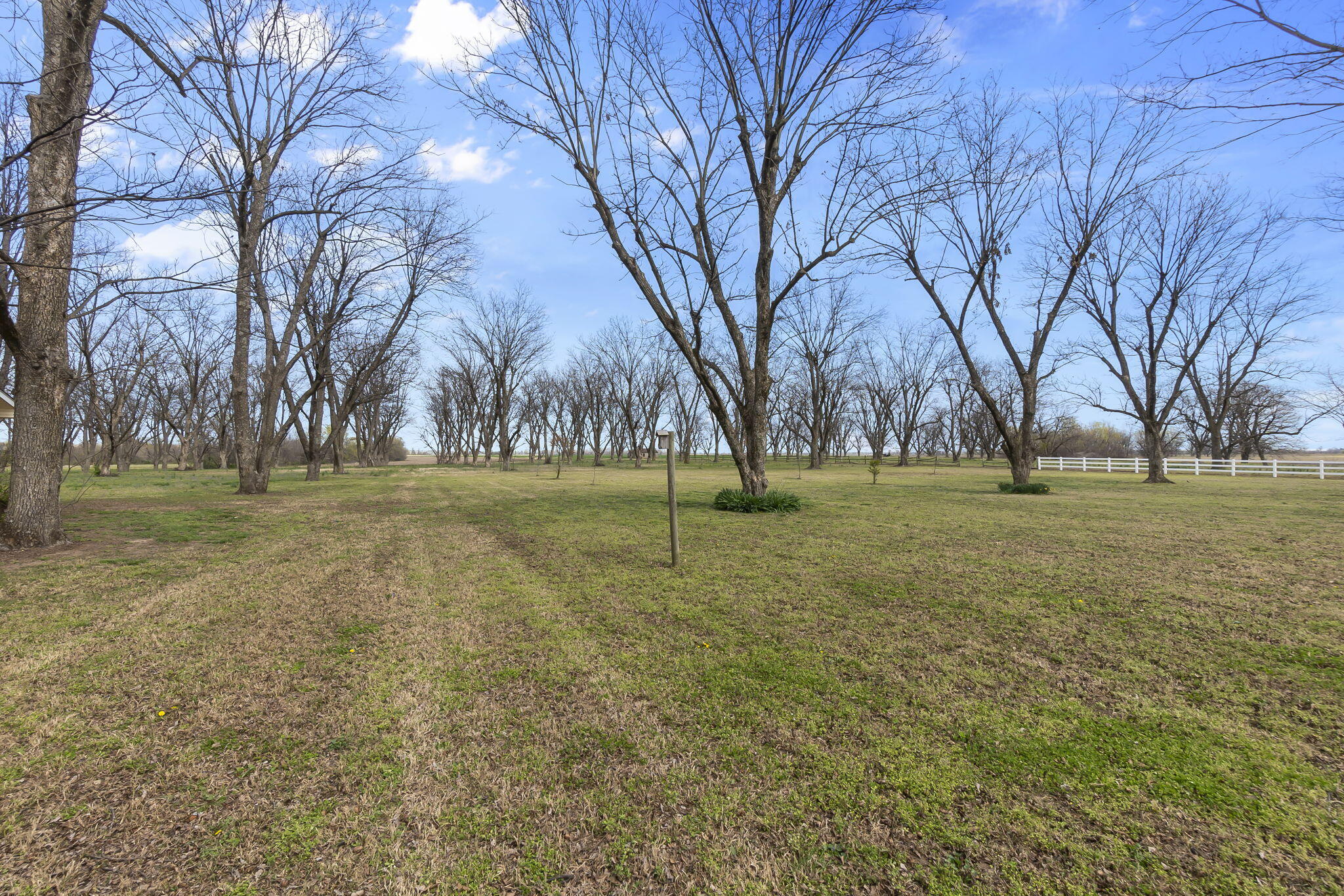 18465 County Road 405 Property Photo 82