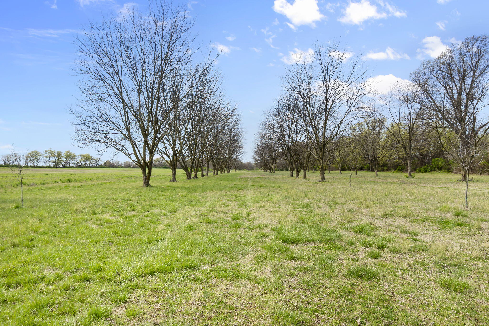 18465 County Road 405 Property Photo 83