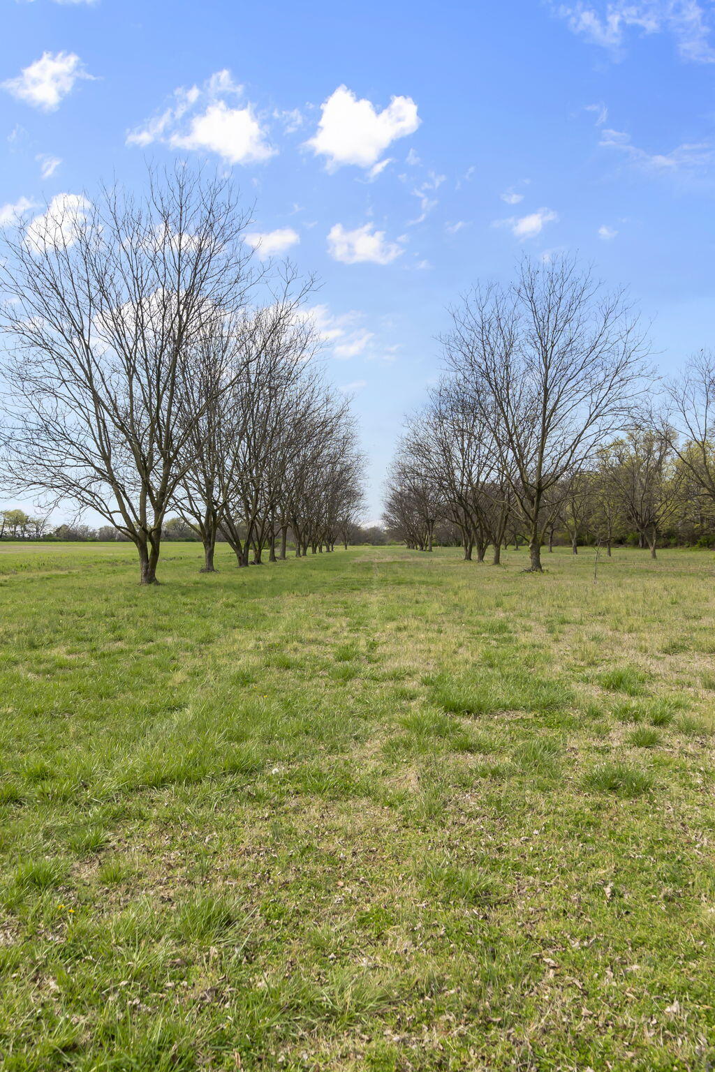 18465 County Road 405 Property Photo 84