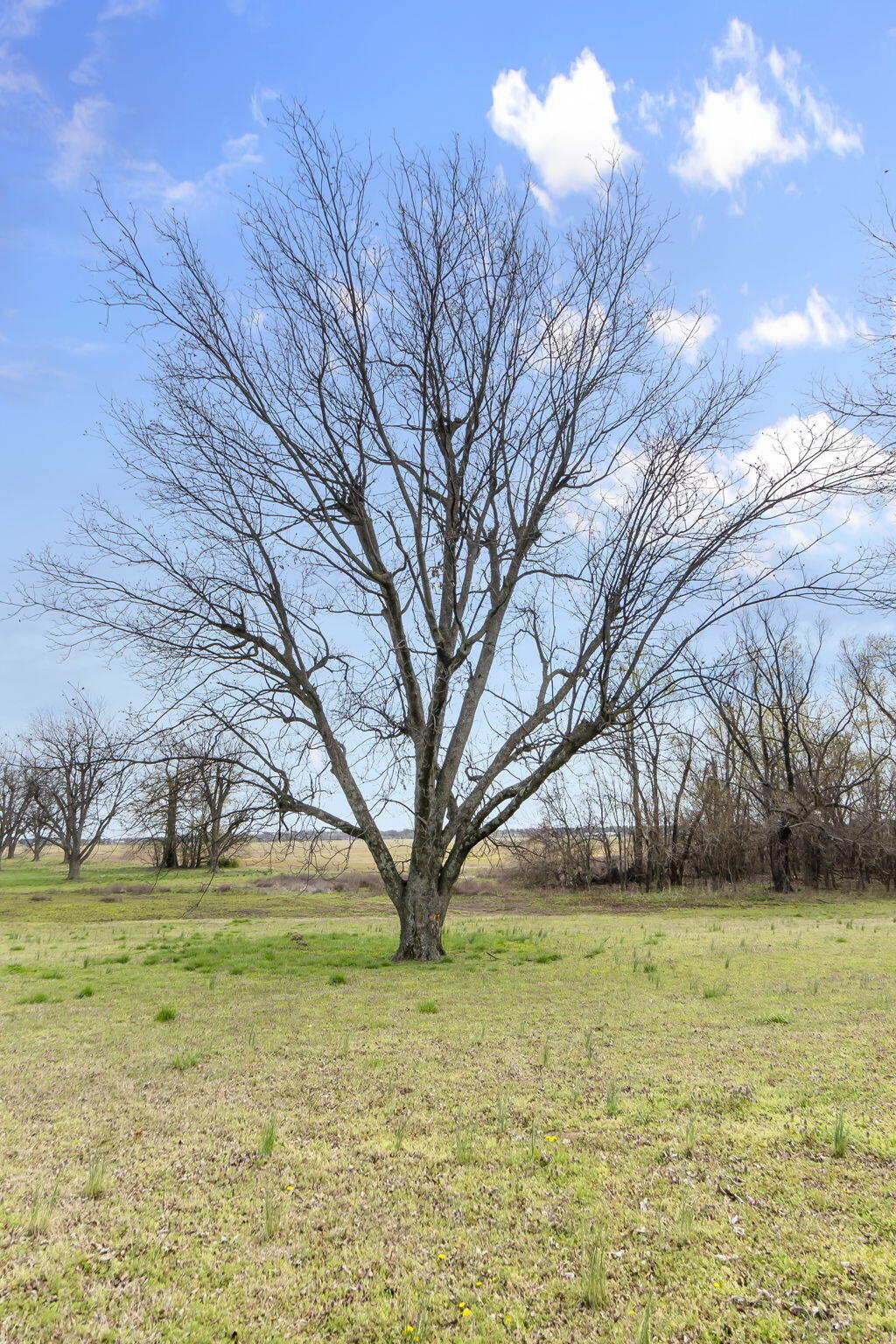 18465 County Road 405 Property Photo 88