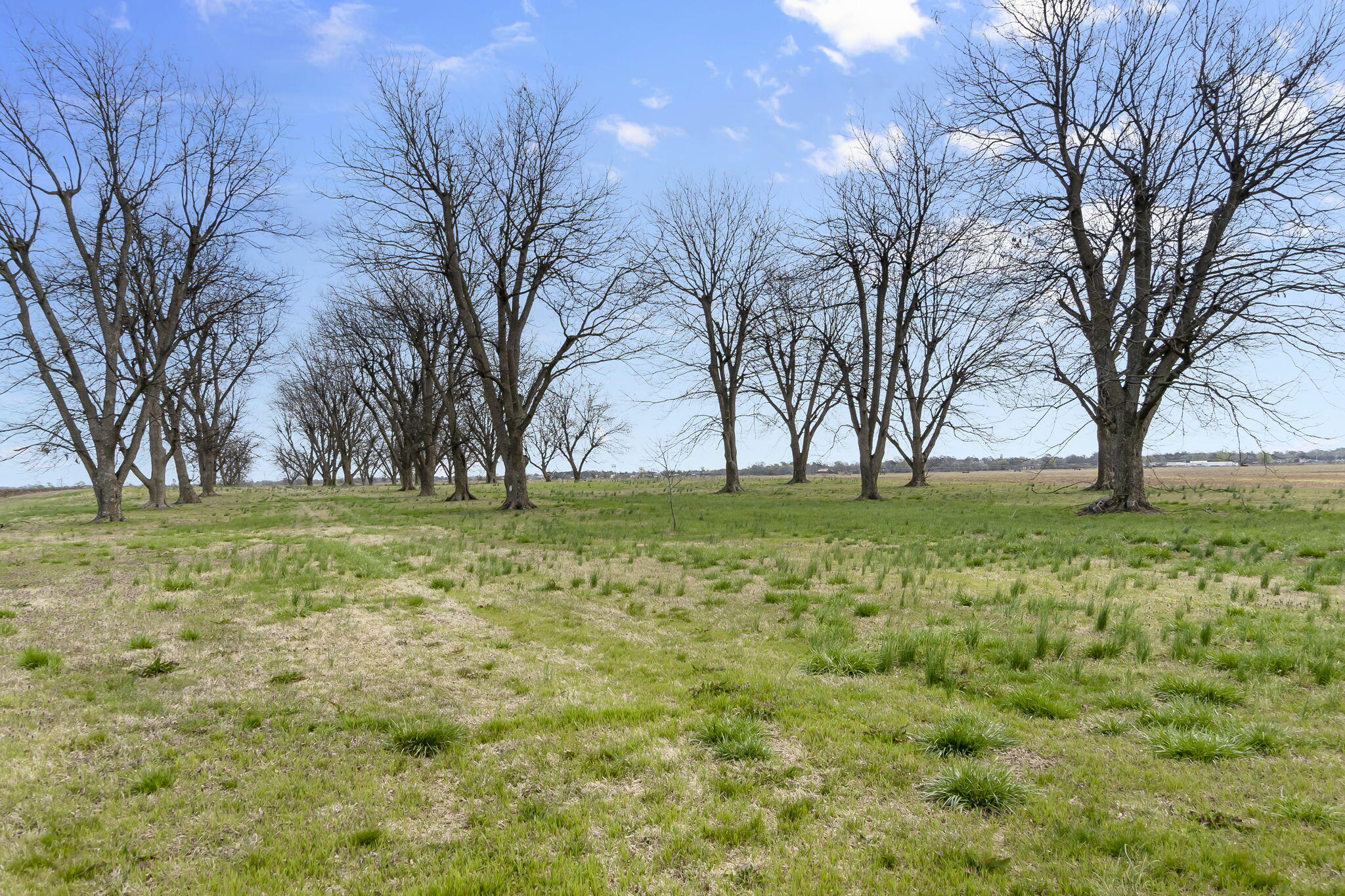 18465 County Road 405 Property Photo 89