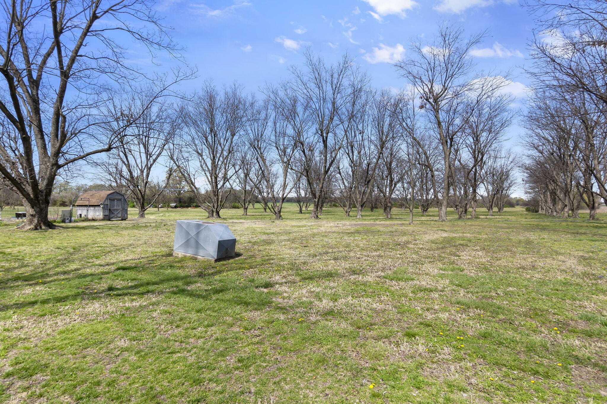 18465 County Road 405 Property Photo 93