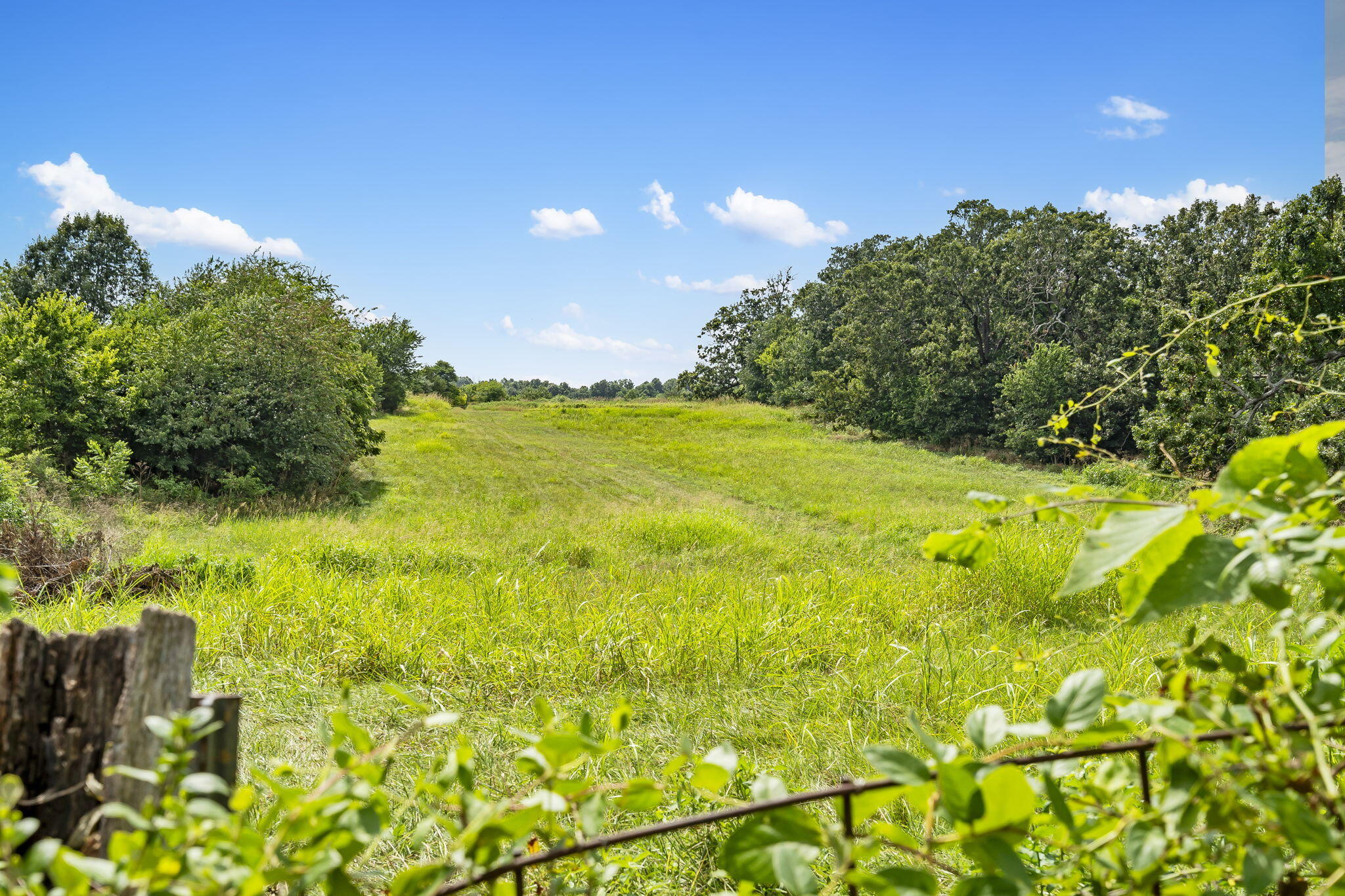 10239 Farm Road 1035 Property Photo 56